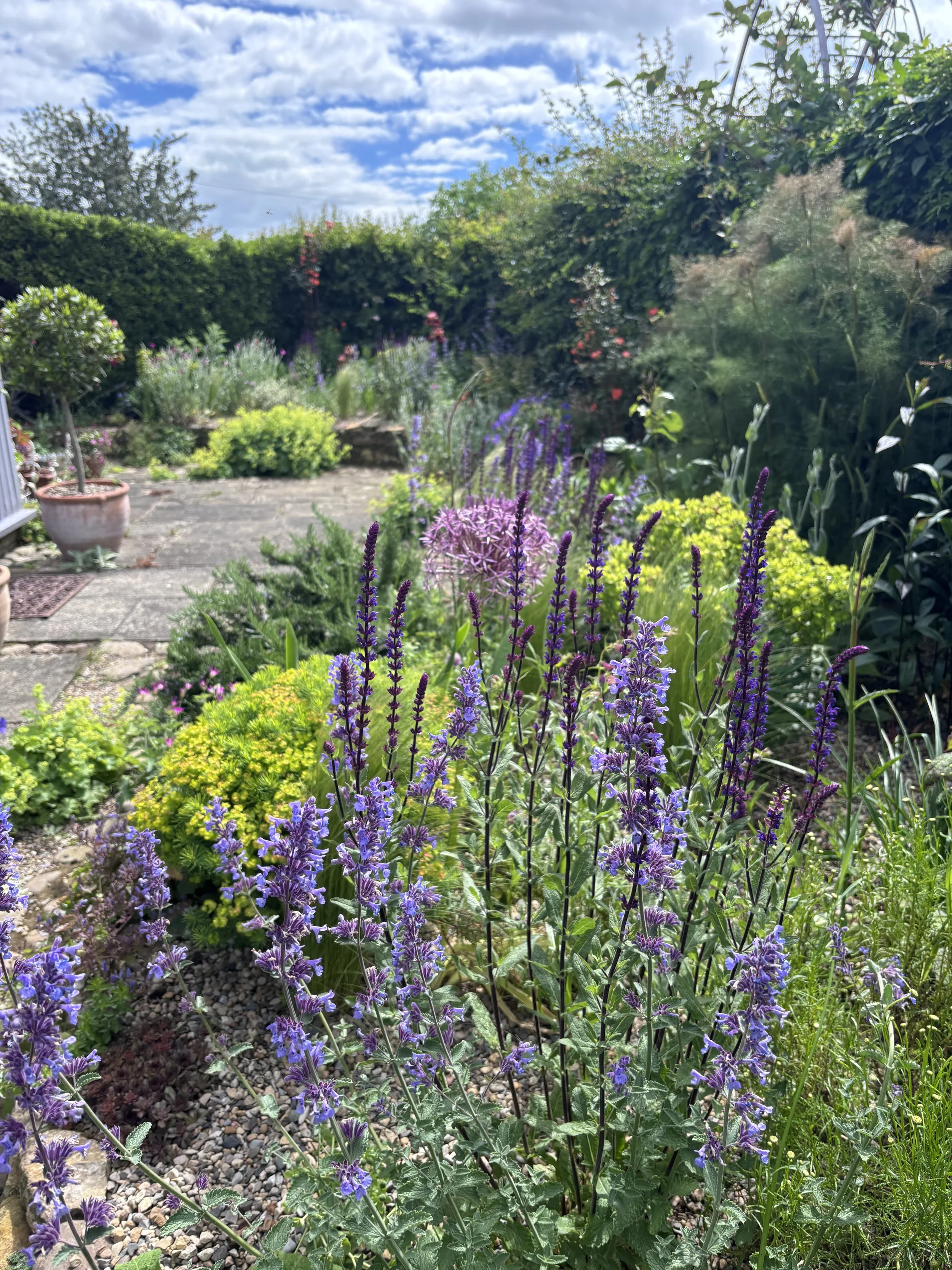 Gravel Garden