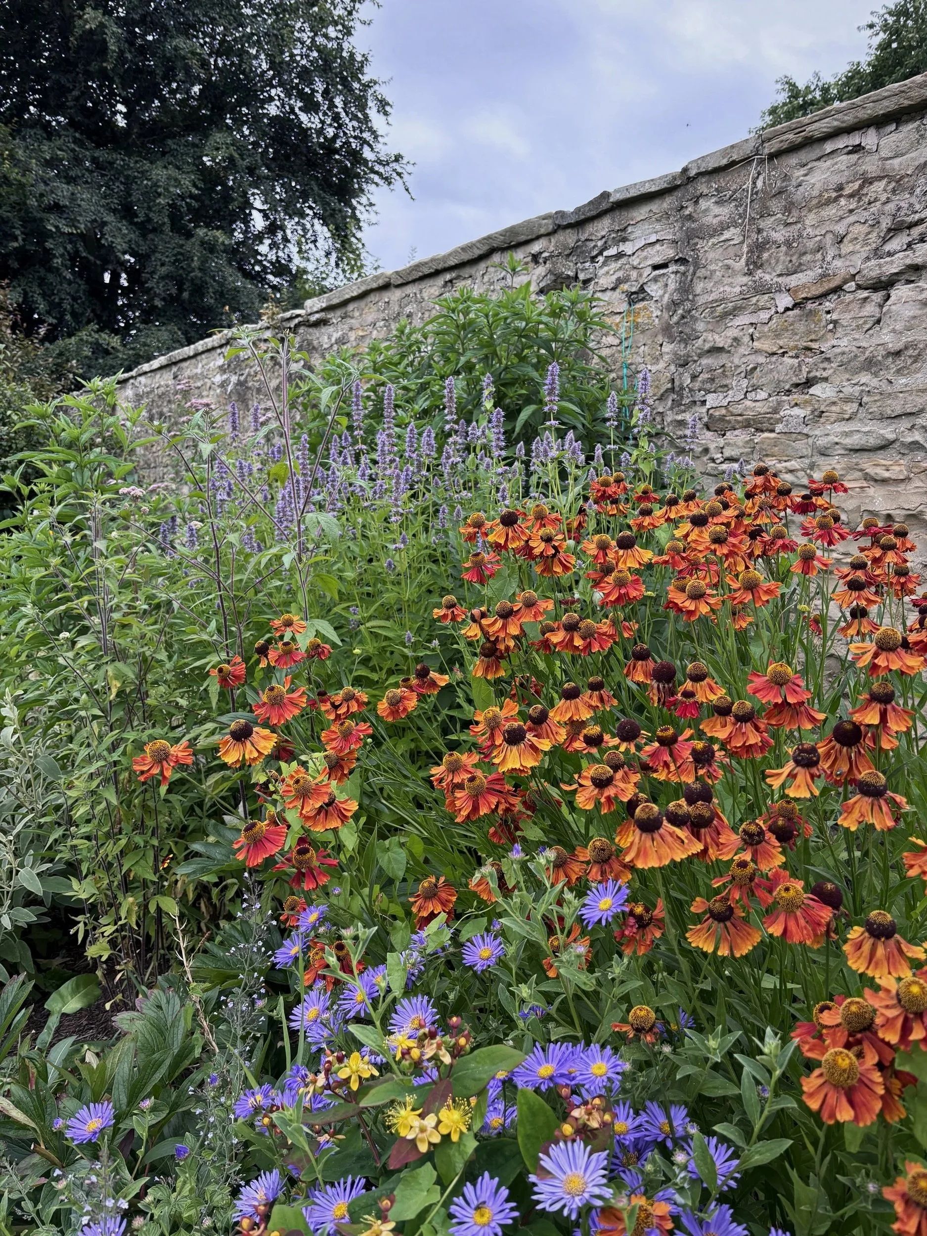 Long Border Rennovation