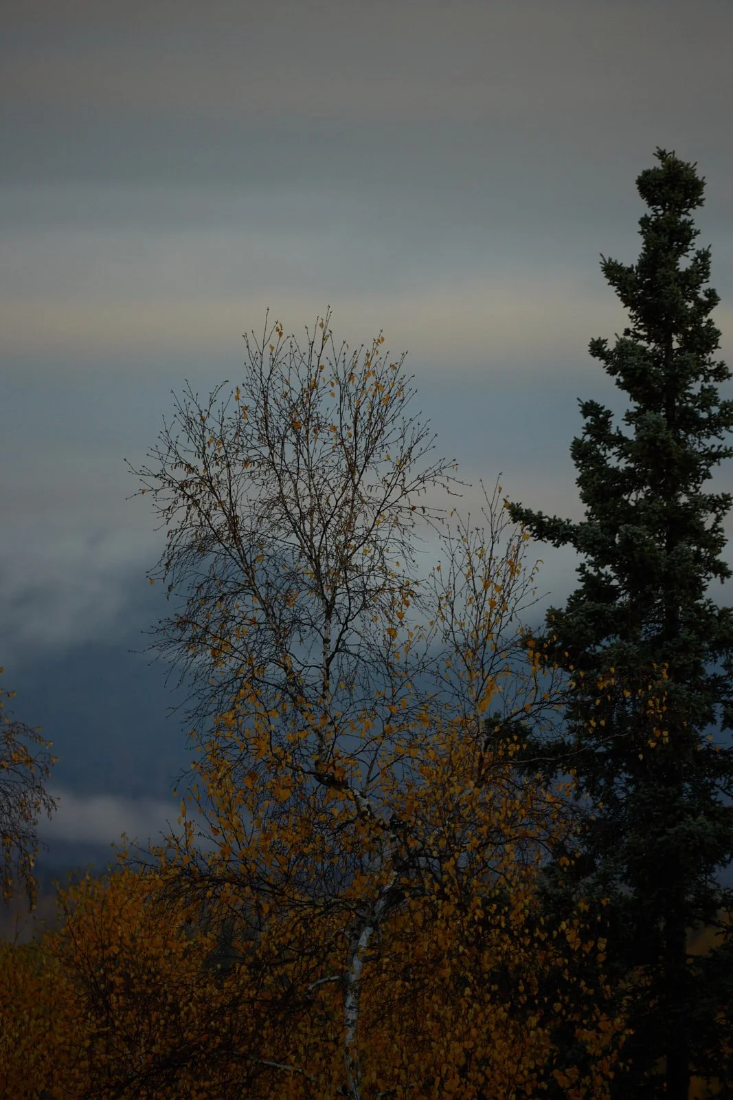 2012 Alaska 1210.jpg