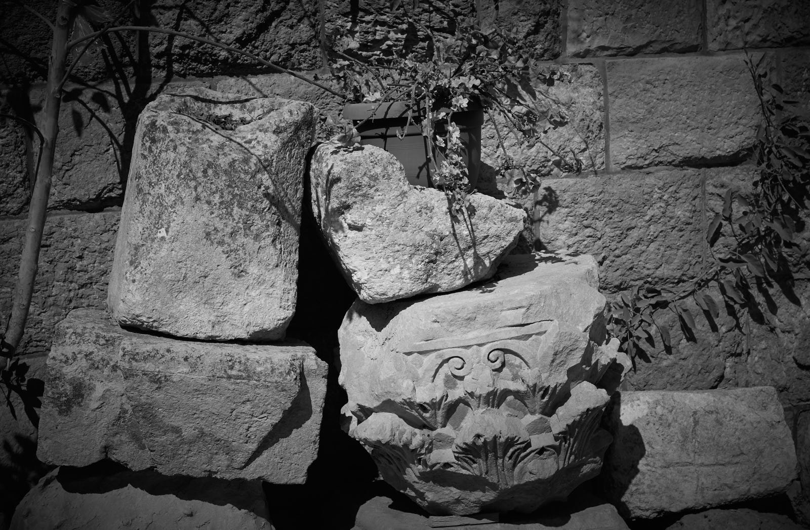 Holy Land 0584.jpg