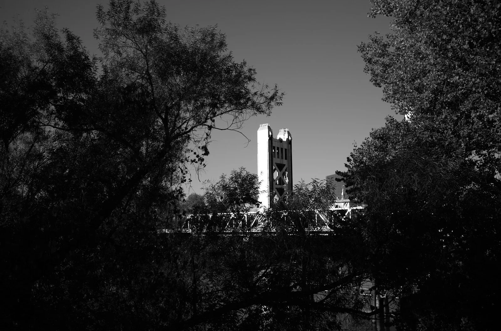 L1000217.jpg