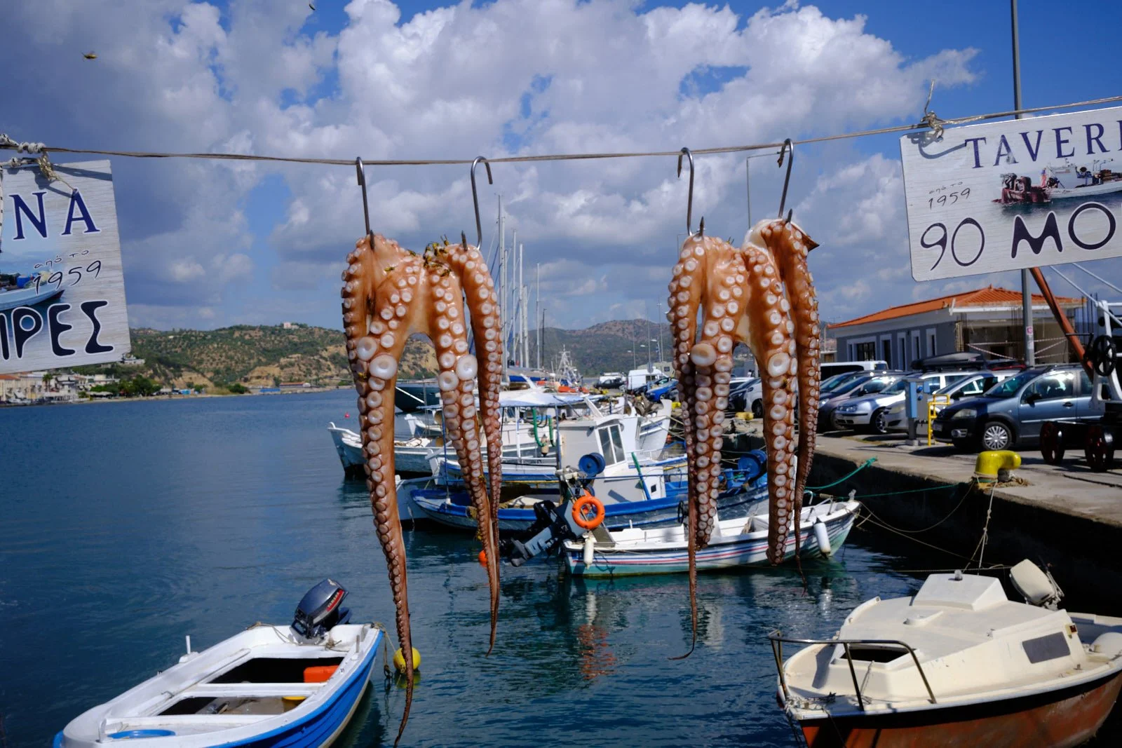 Octopus-Milos
