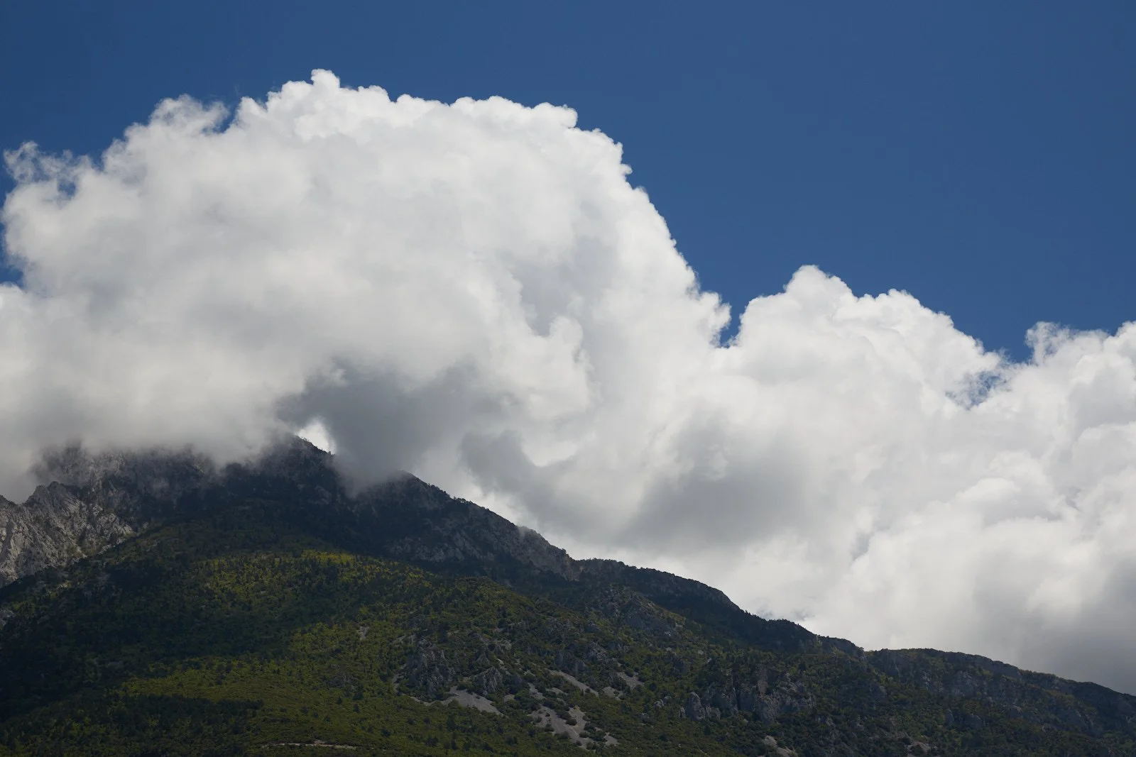 Mt. Athos 0164.jpg