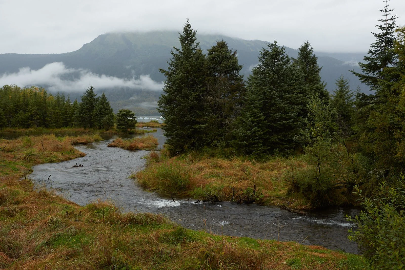 2012 Alaska 0616.jpg