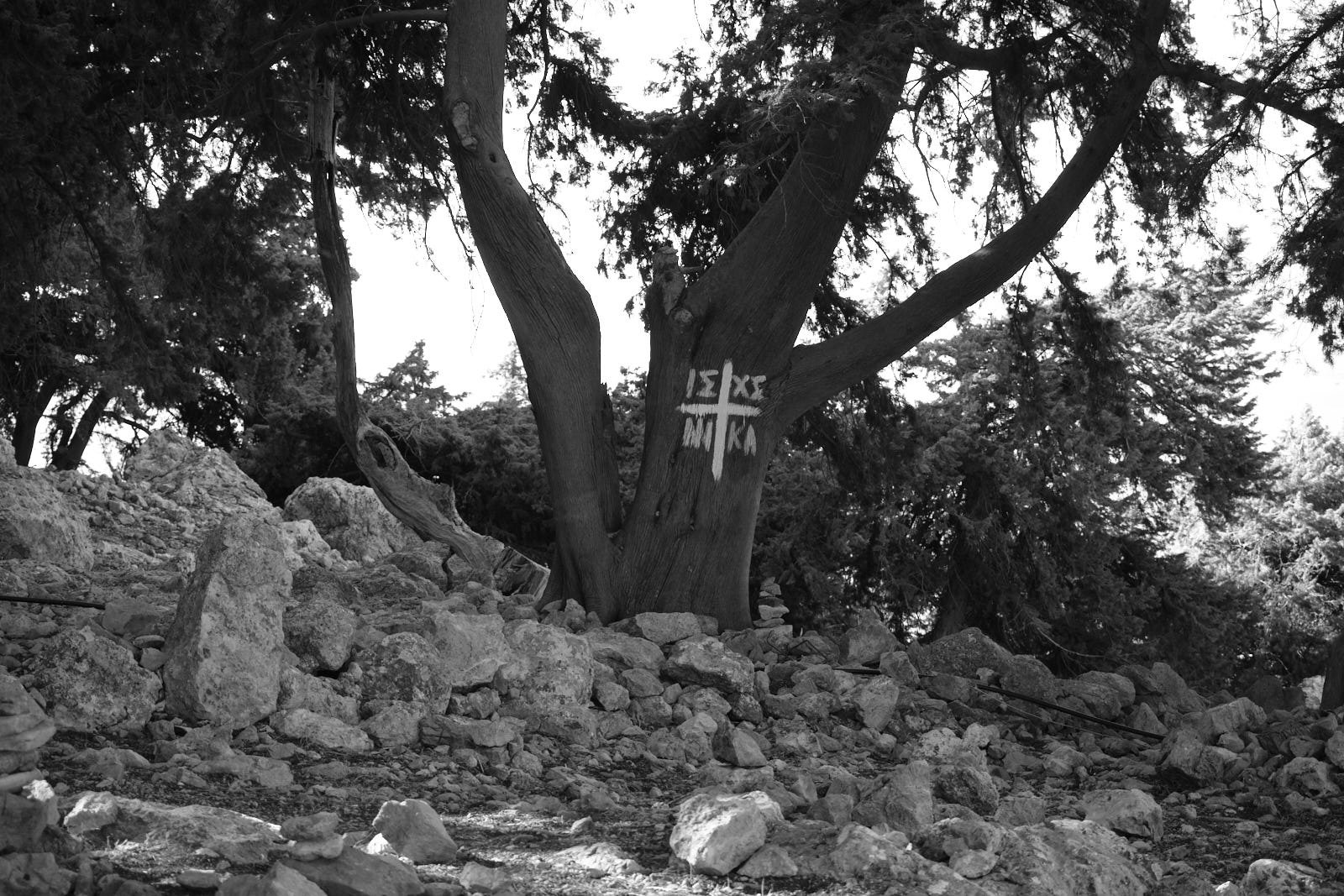 On path to Tsambika Monastery-Rhodes, Greece