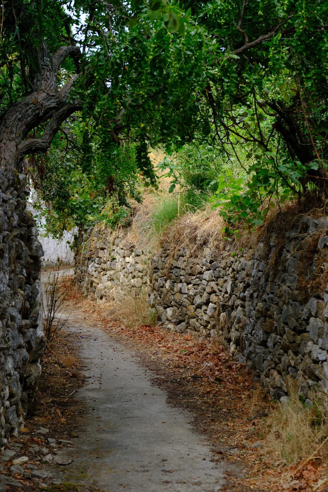 Hike along Triage valley-Naxos Greece