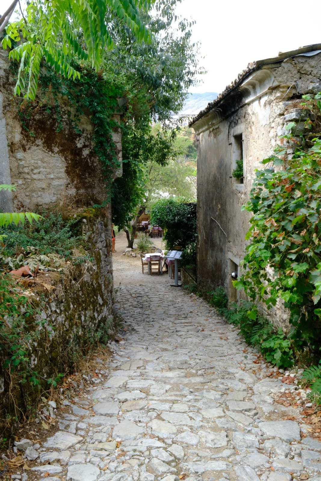 Table is ready-Old Perithia, Corfu