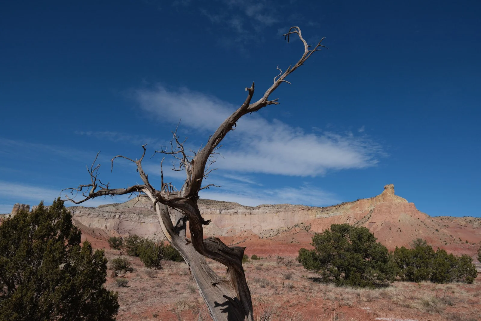_DSF0444.jpg