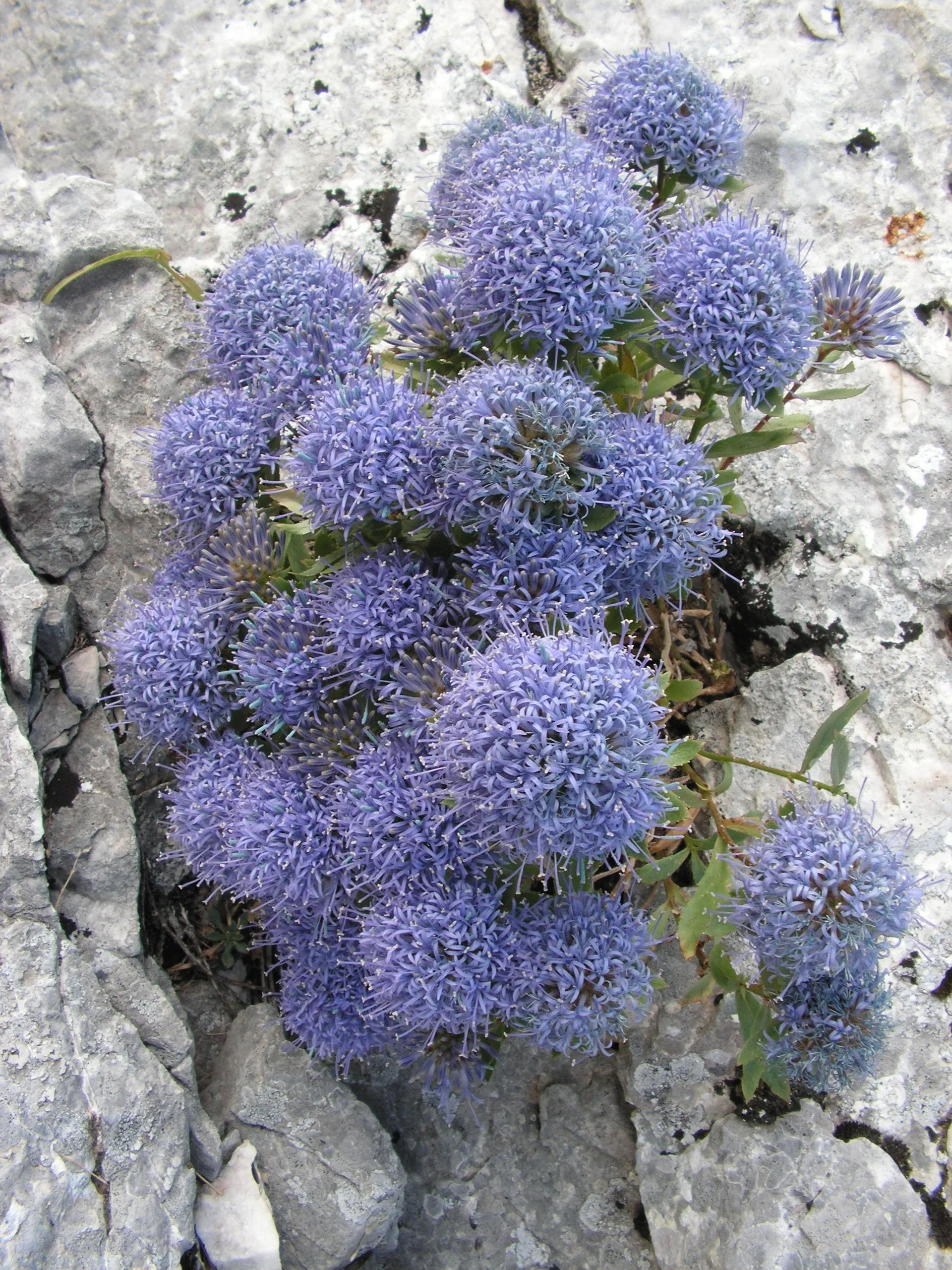PICT3359.jpg