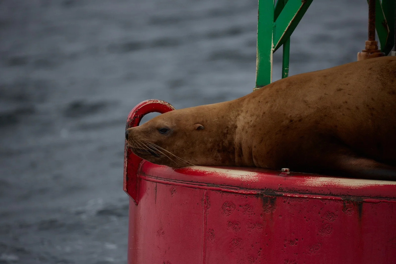 2012 Alaska 0444.jpg