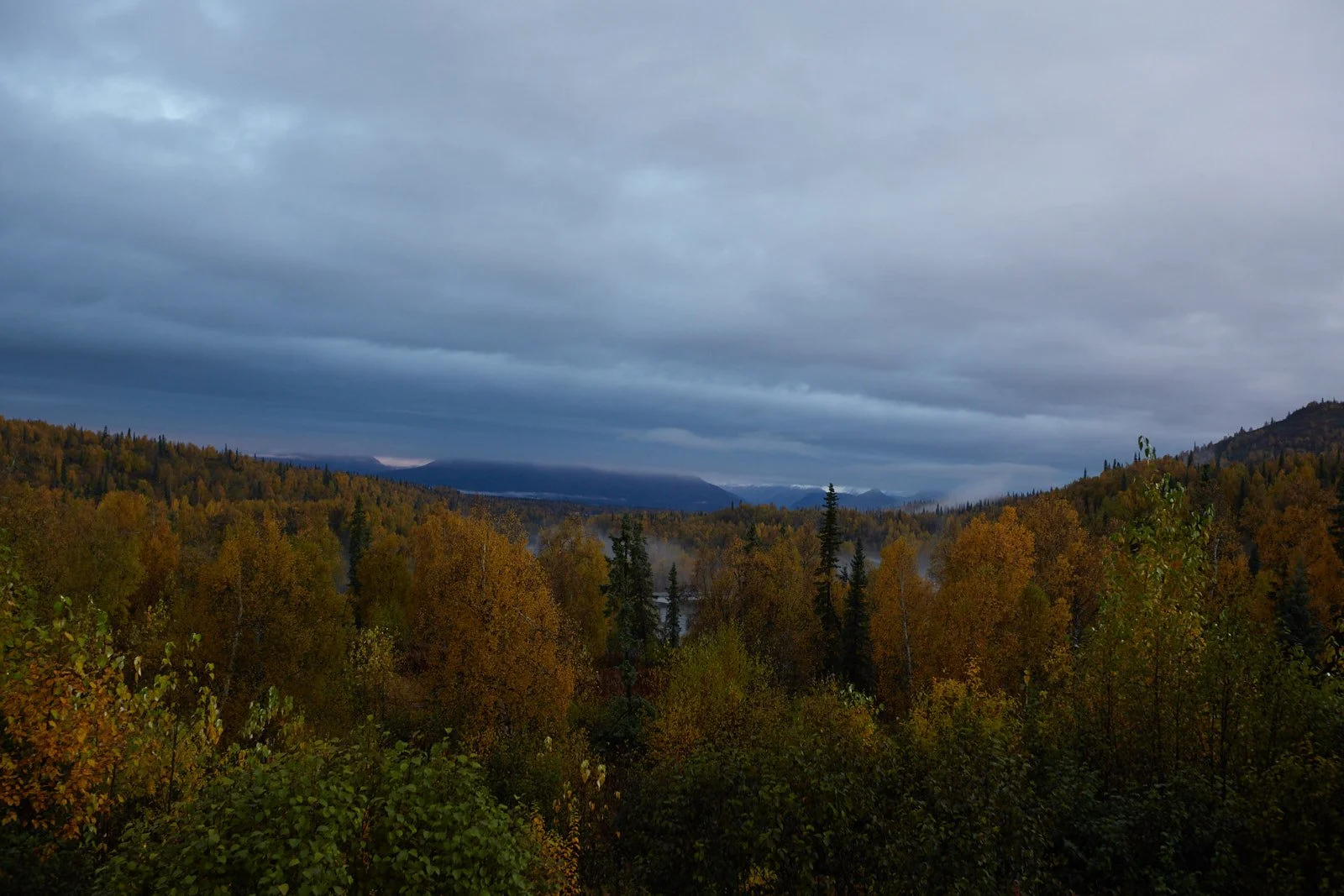 2012 Alaska 1188.jpg