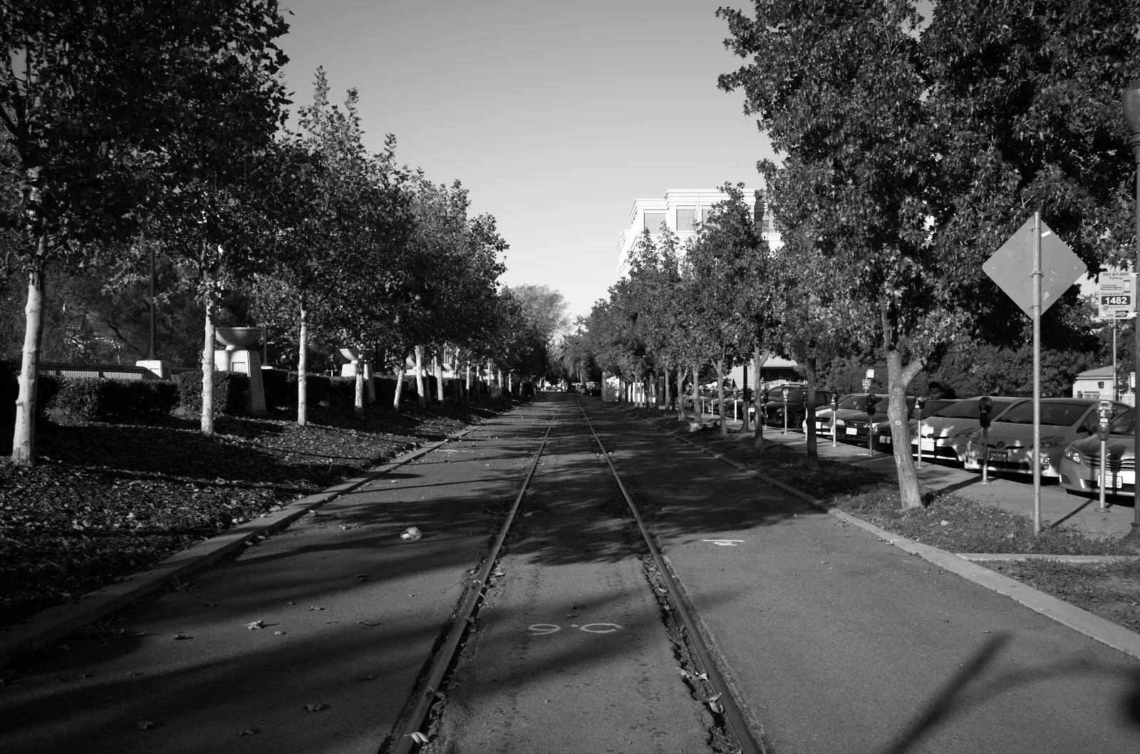 L1000215.jpg
