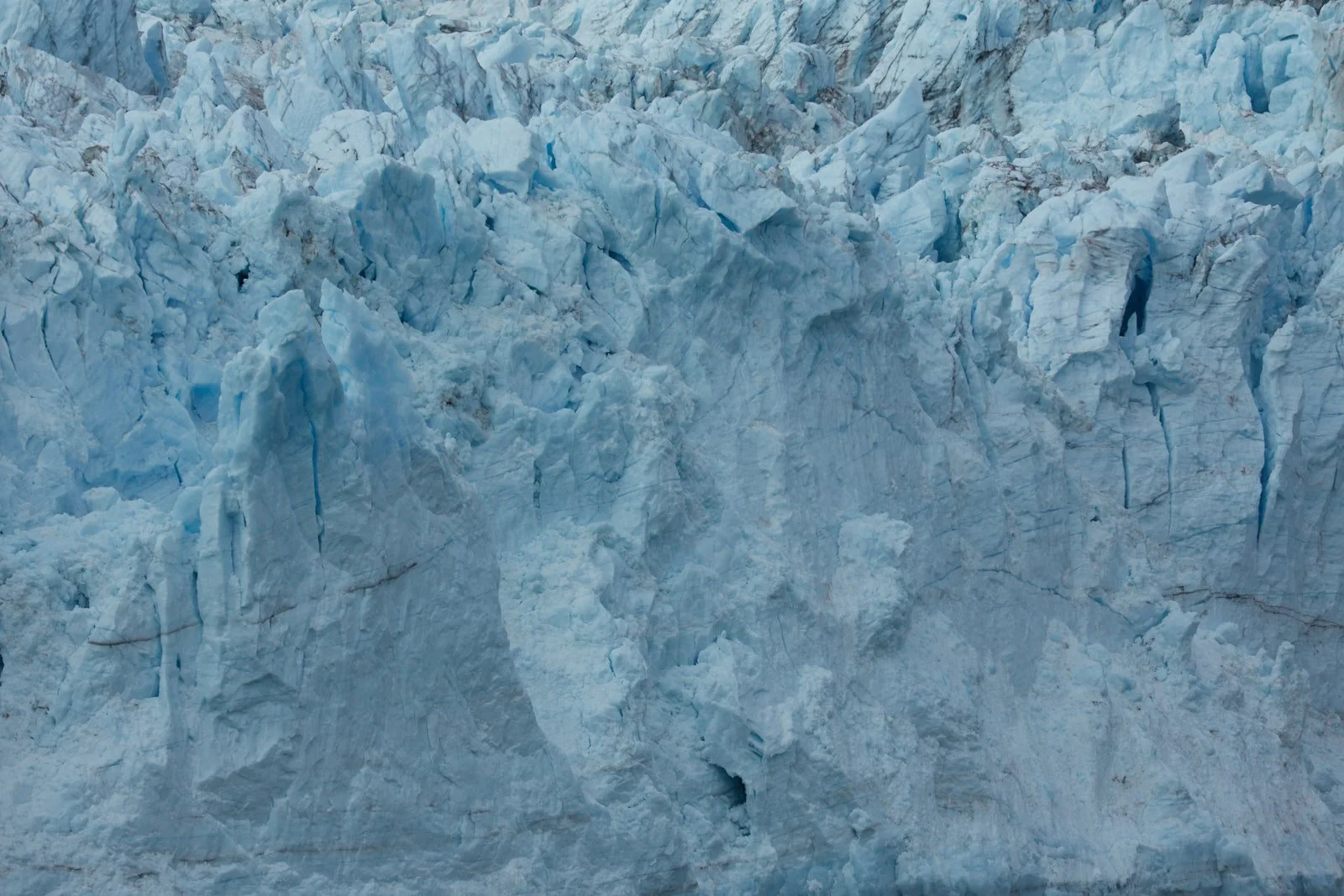 2012 Alaska 0932.jpg