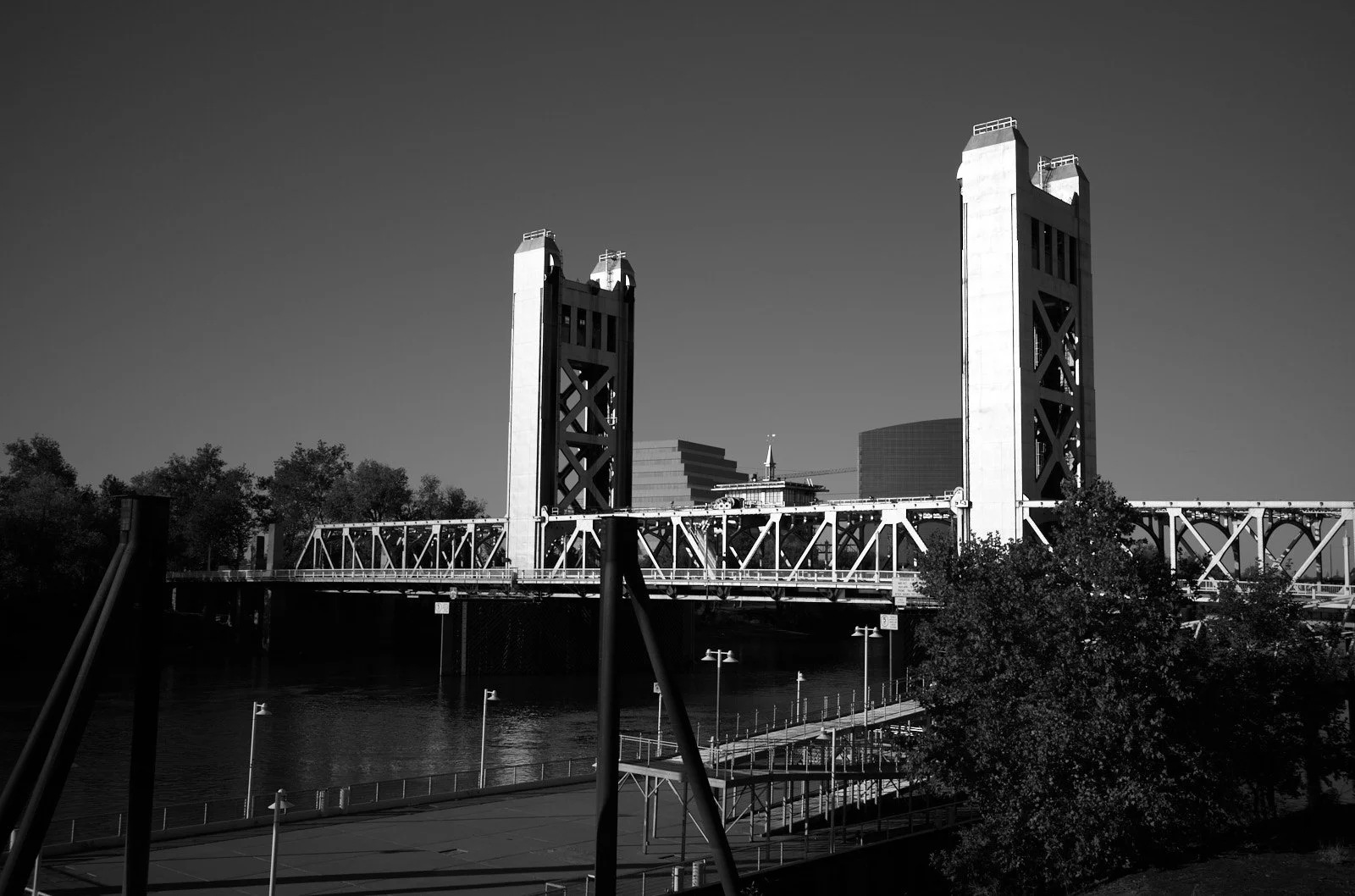 L1000218.jpg