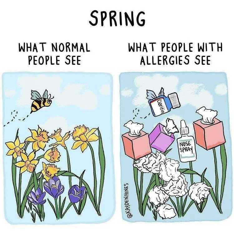 Can you relate?? 🤧💐🤧
Call Pioneer Valley Allergy to be tested! (413) 628-5187 

#asthmacare #asthmamanagement #allergyseason #AllergyRelief #womeninmedicine #allergyclinic #seasonalallergies