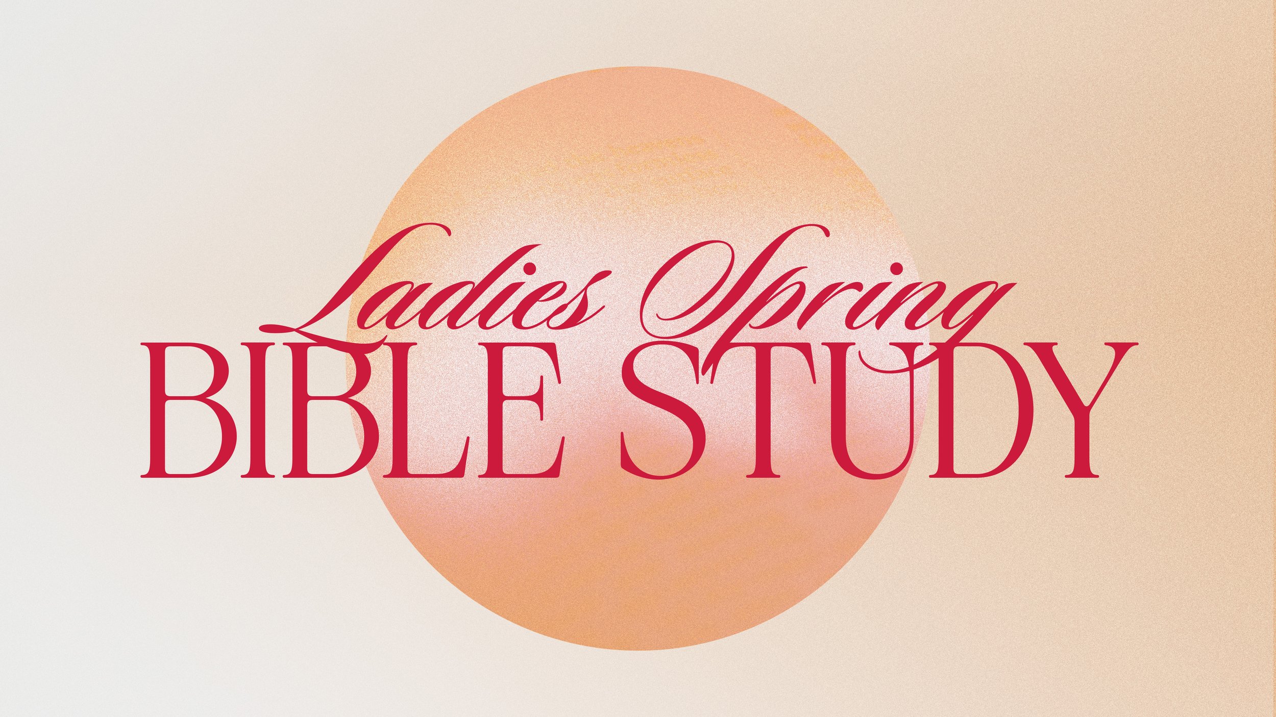Ladies Spring Bible Study