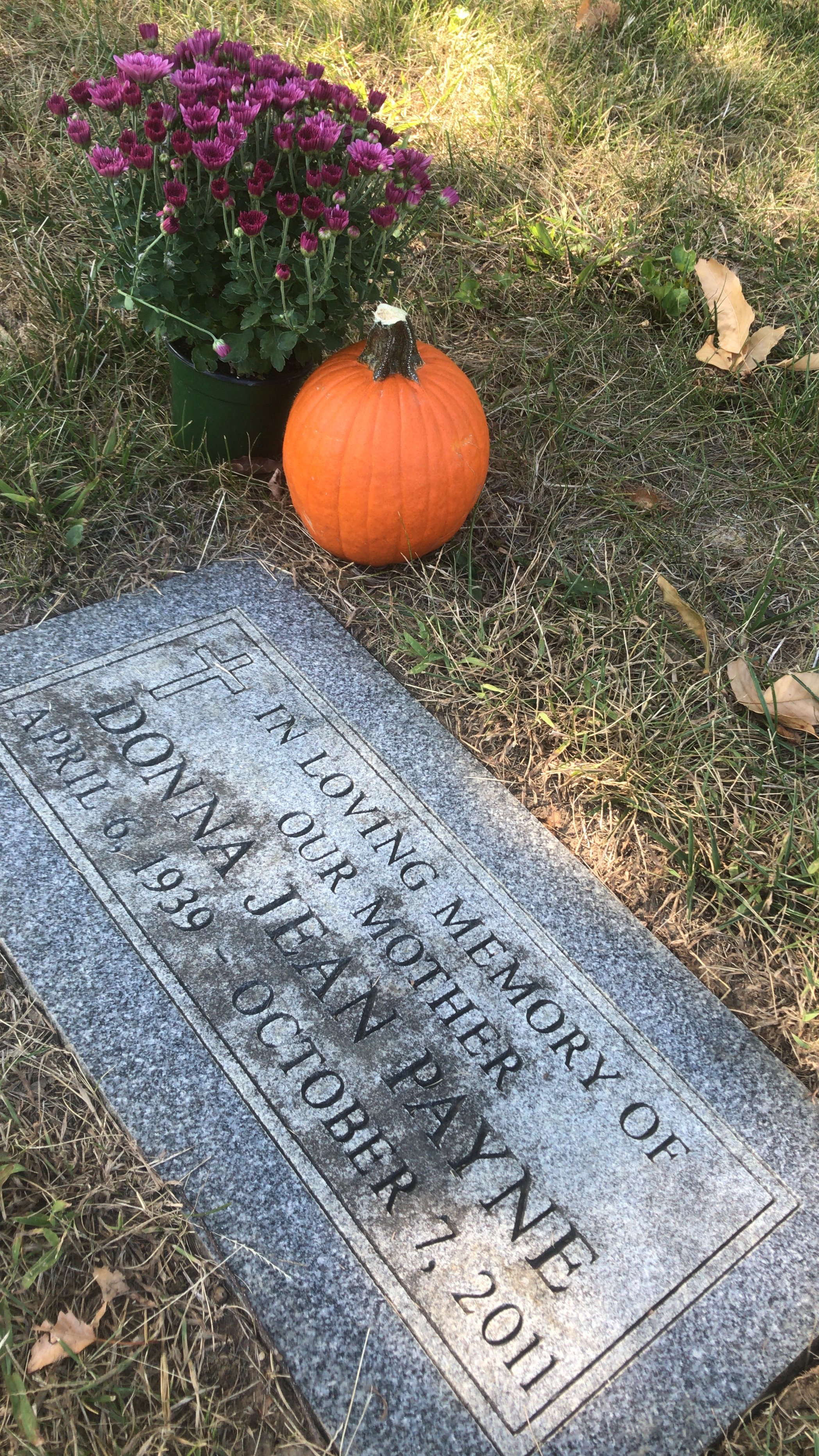 Heavenly Birthdays…Reflections on Grief, Love, and Making Meaning