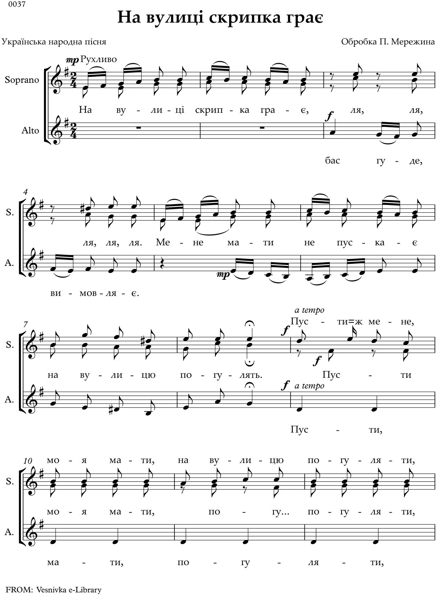 A violin plays in the streets