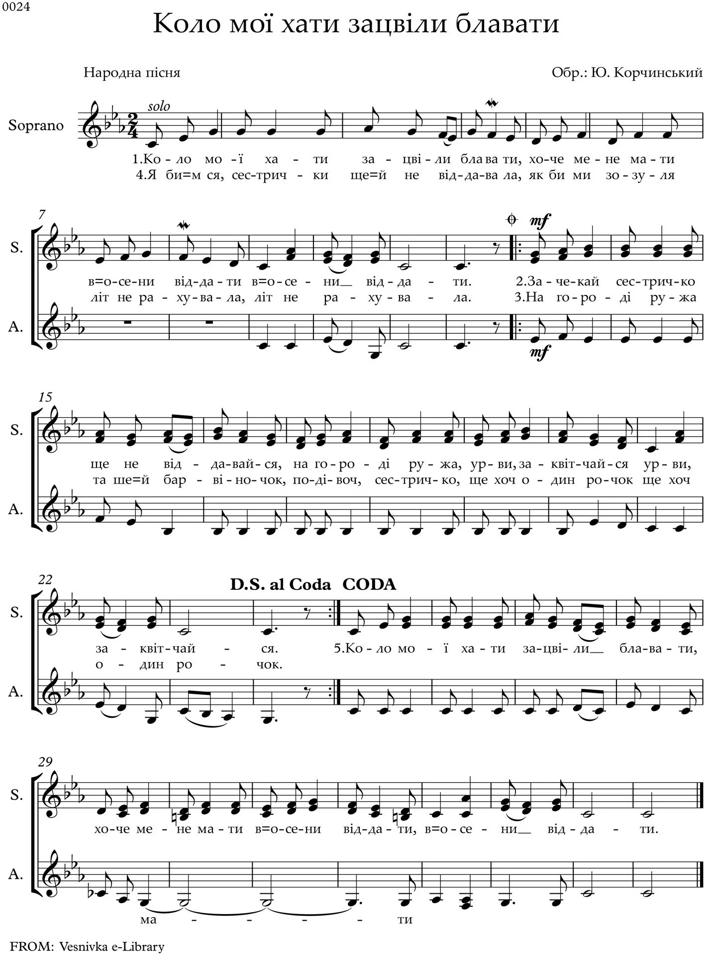 Cornflowers bloom by my house