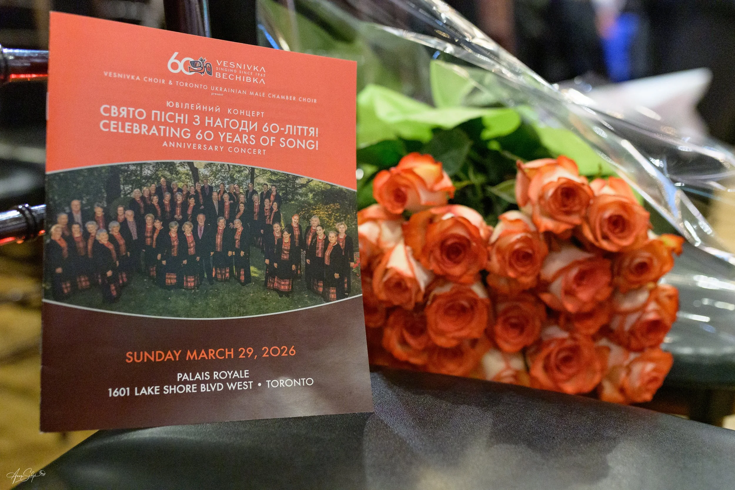 Anna Sudyk Photography 60th Vesnivka -639465.jpg