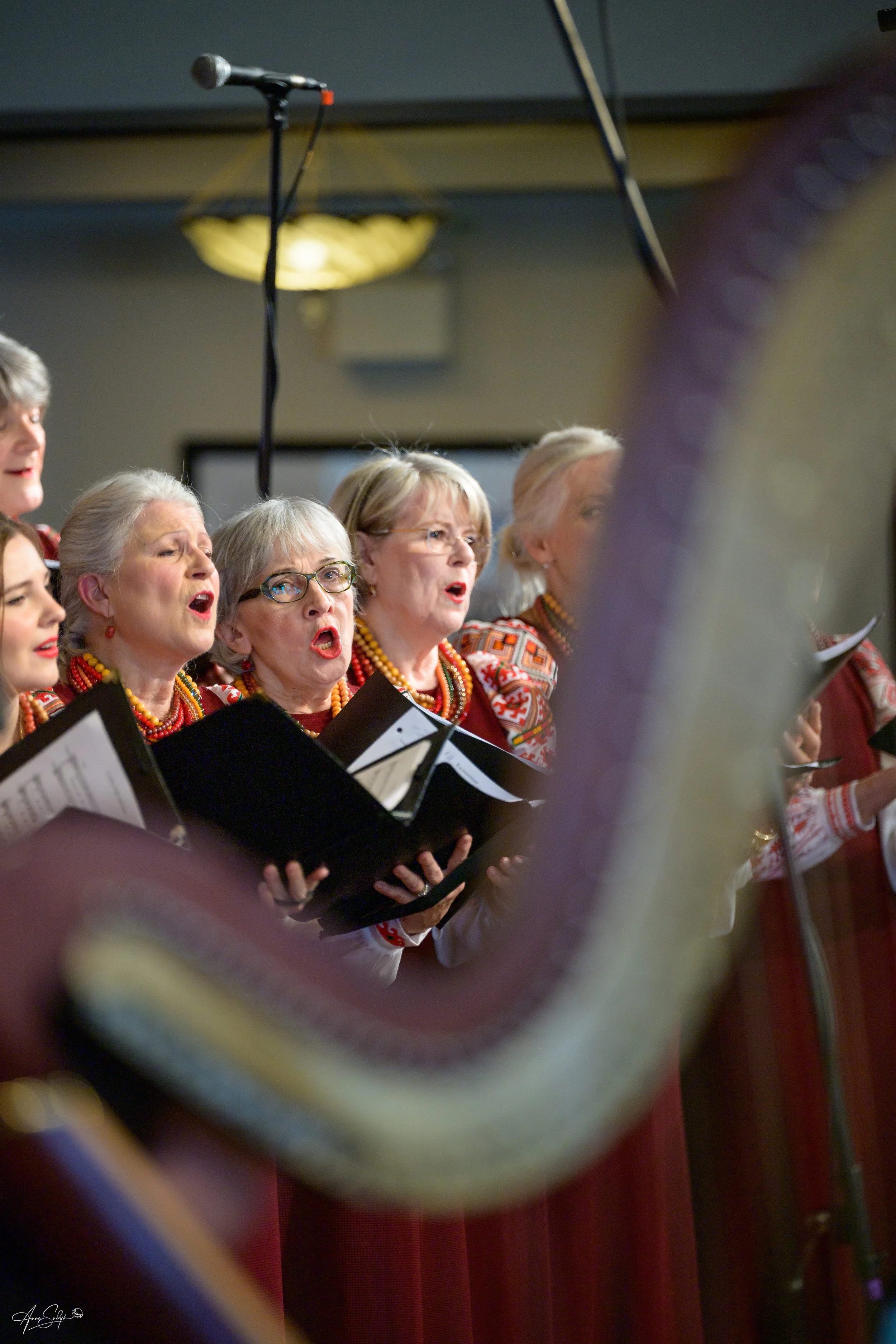 Anna Sudyk Photography 60th Vesnivka -639249.jpg