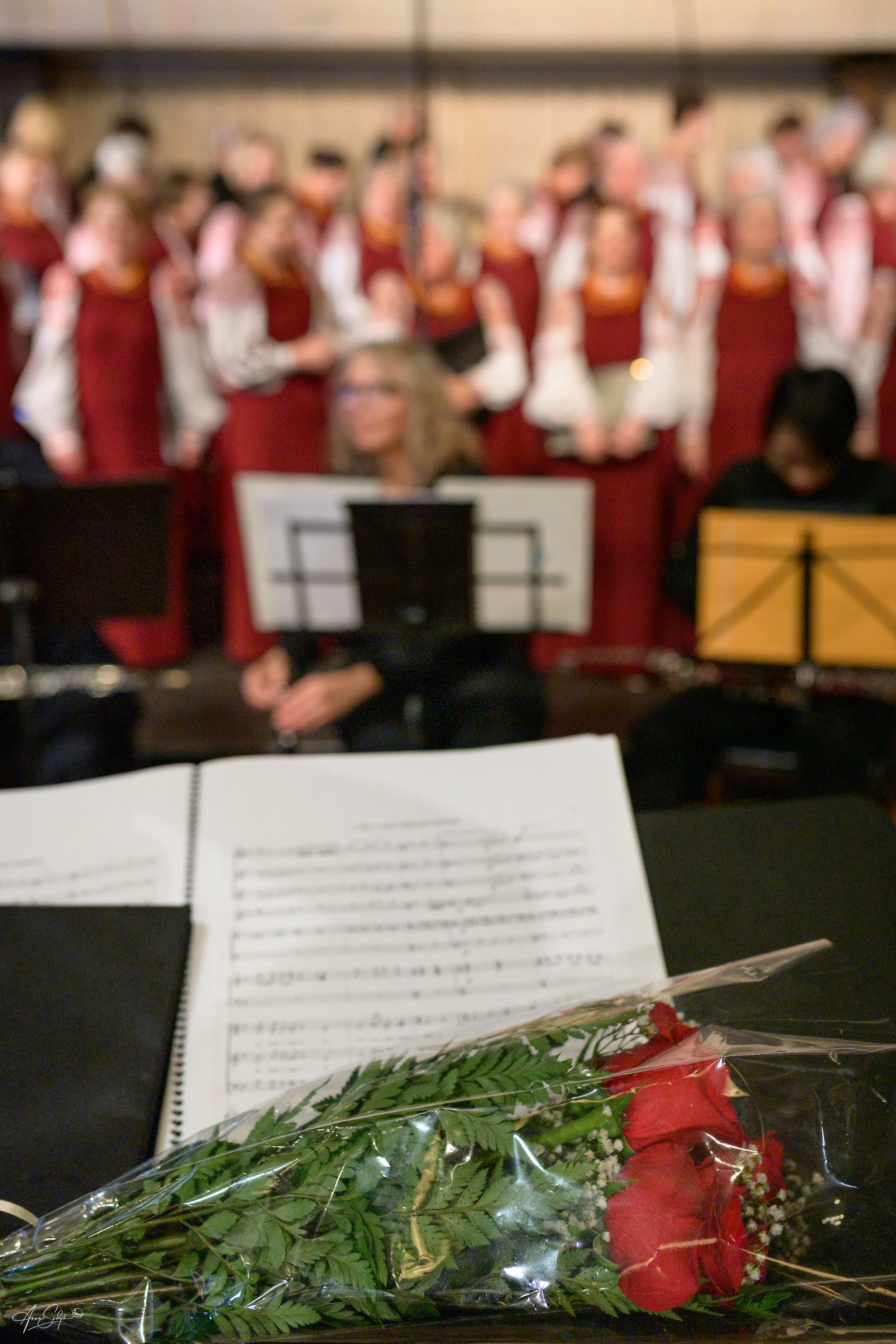 Anna Sudyk Photography 60th Vesnivka -639496.jpg