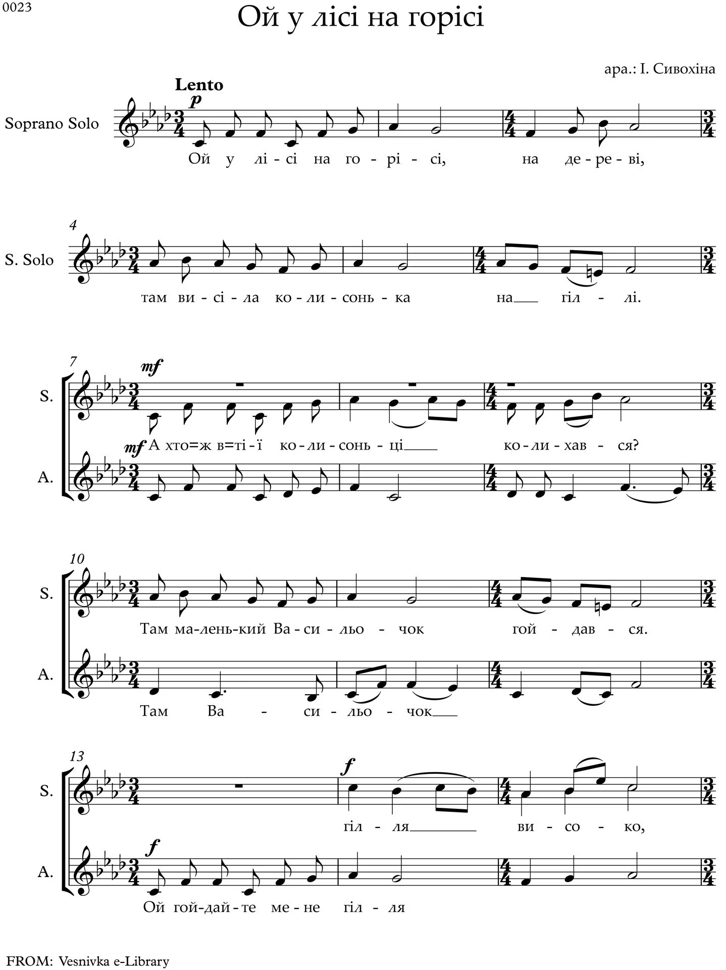 In the forest, on the nut tree