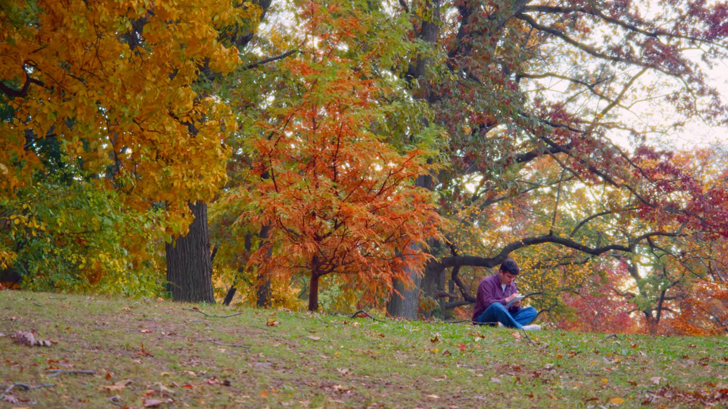 Ryan Dirgins – Footstep Forest