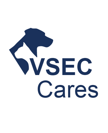 VSEC Cares logo