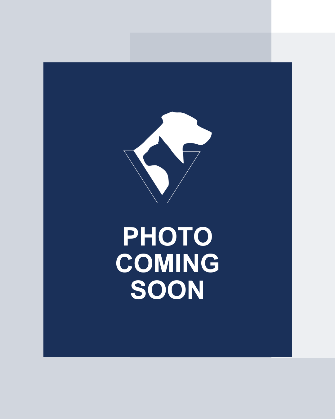 Meet the VSEC Team | Veterinary Specialists in Mamaroneck, NY — VSEC