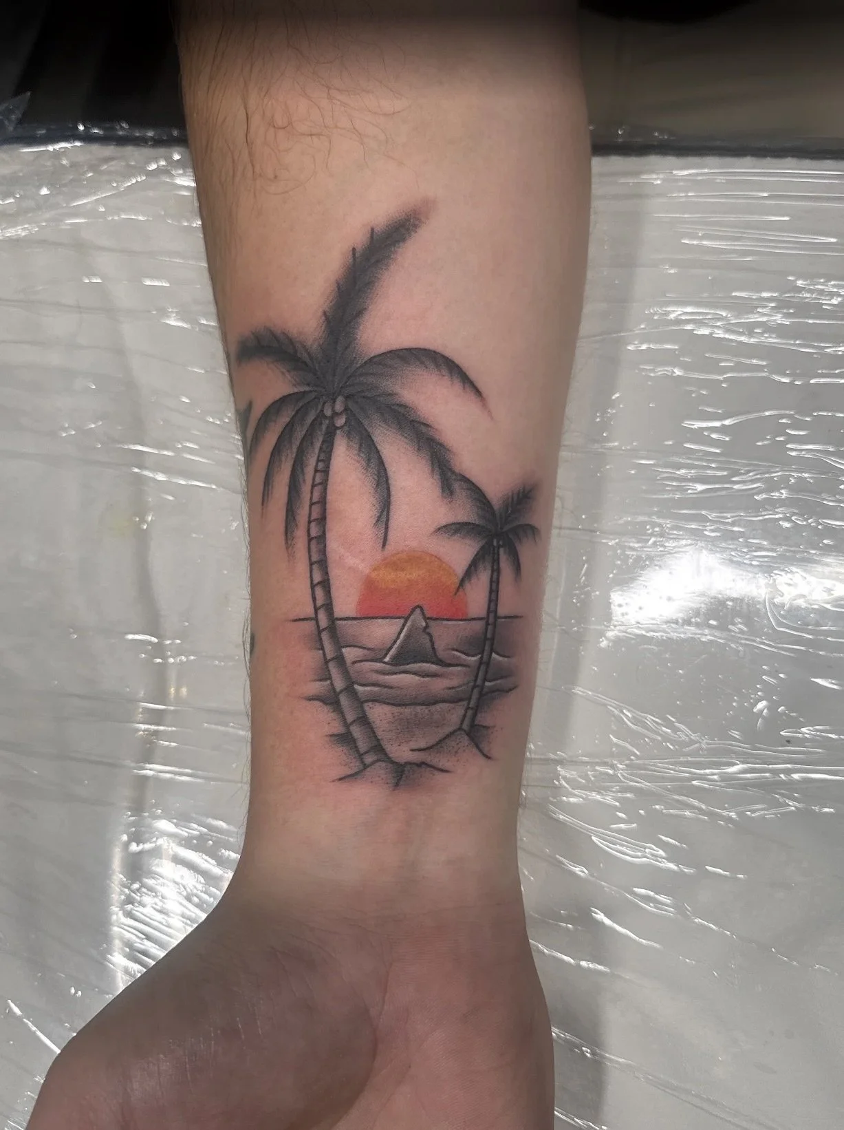 Image 7-18-25 at 1.17 PM.jpeg