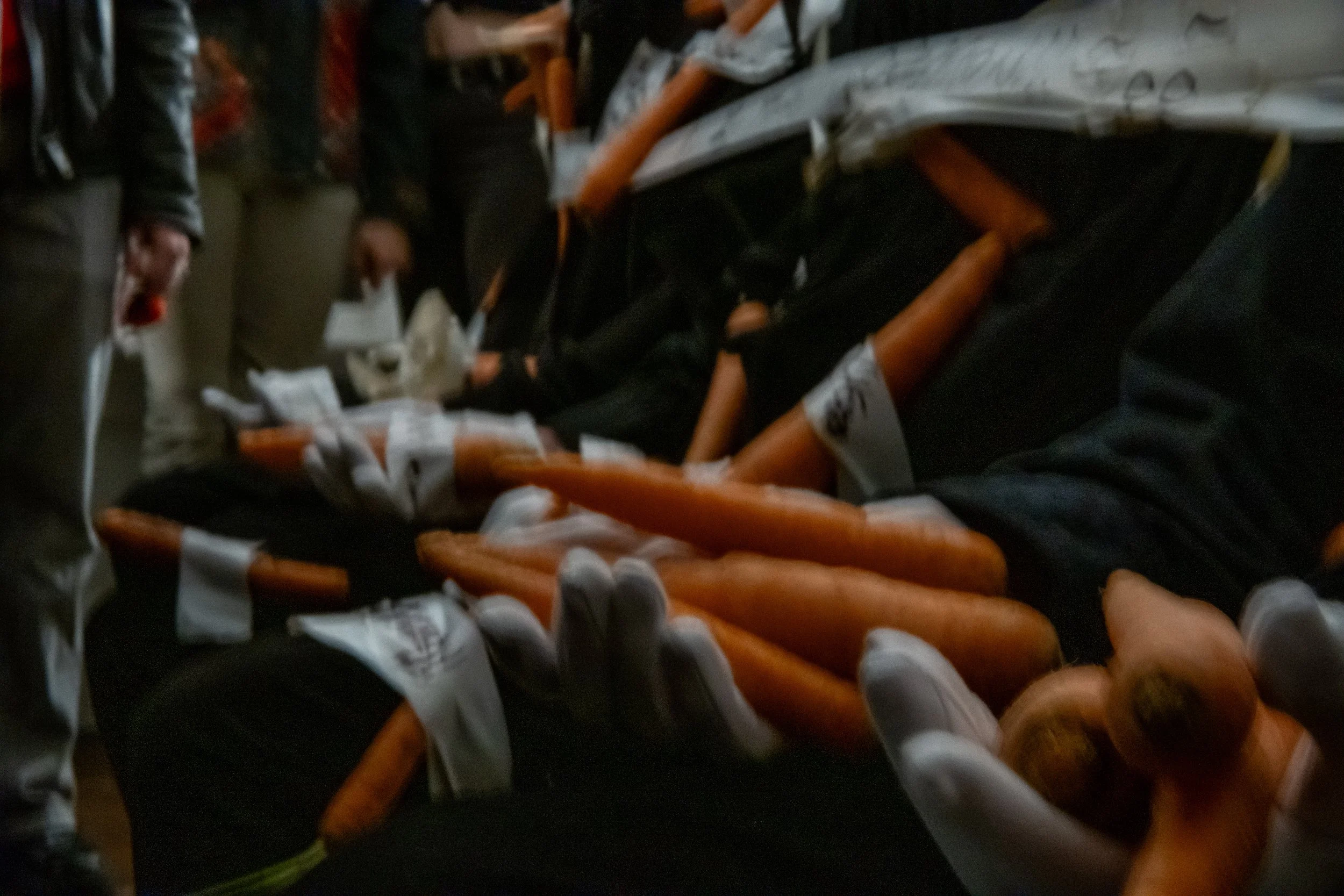 _DSC0469.jpeg