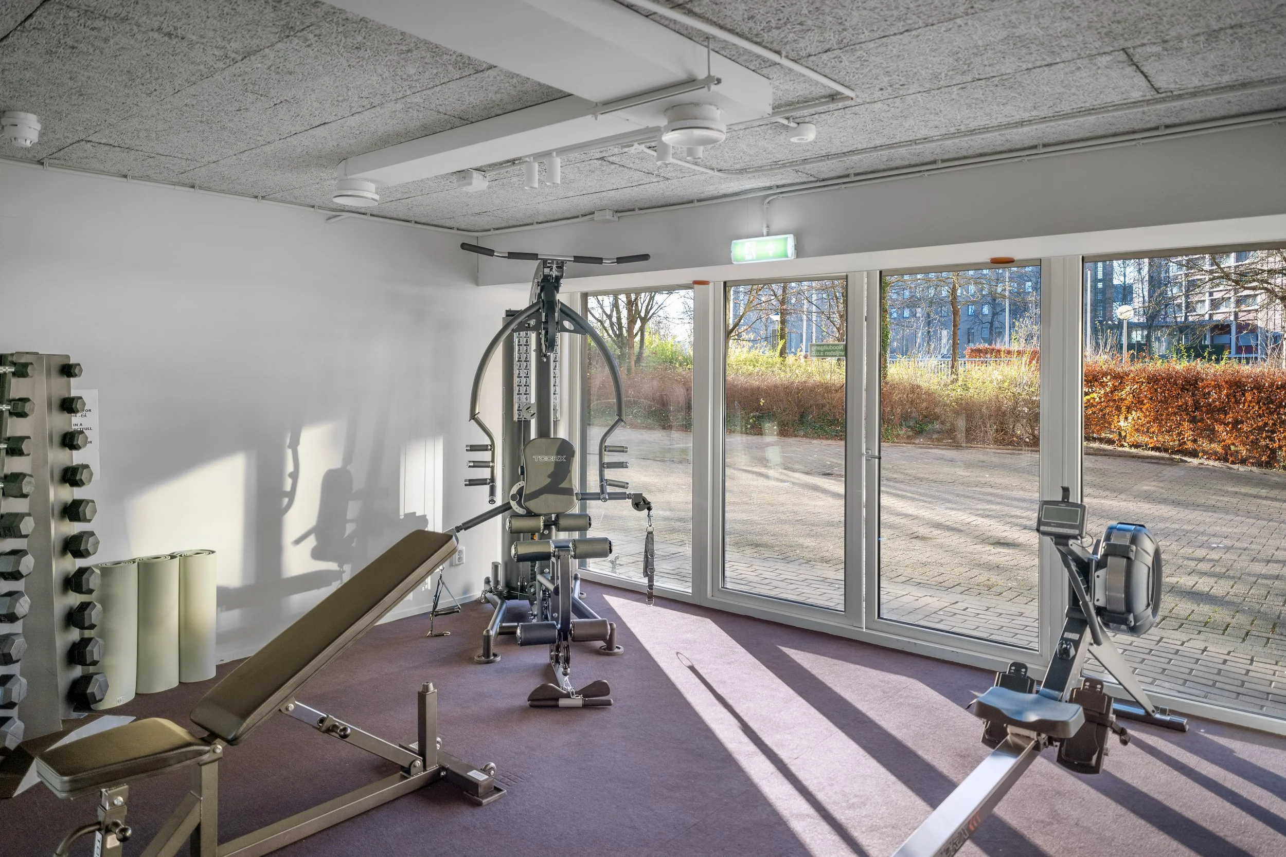 Empty fitness gym with workout equipment, including a bench, a pull-up station, a rowing machine, dumbbells, and foam rollers, with large windows showing an outdoor view.