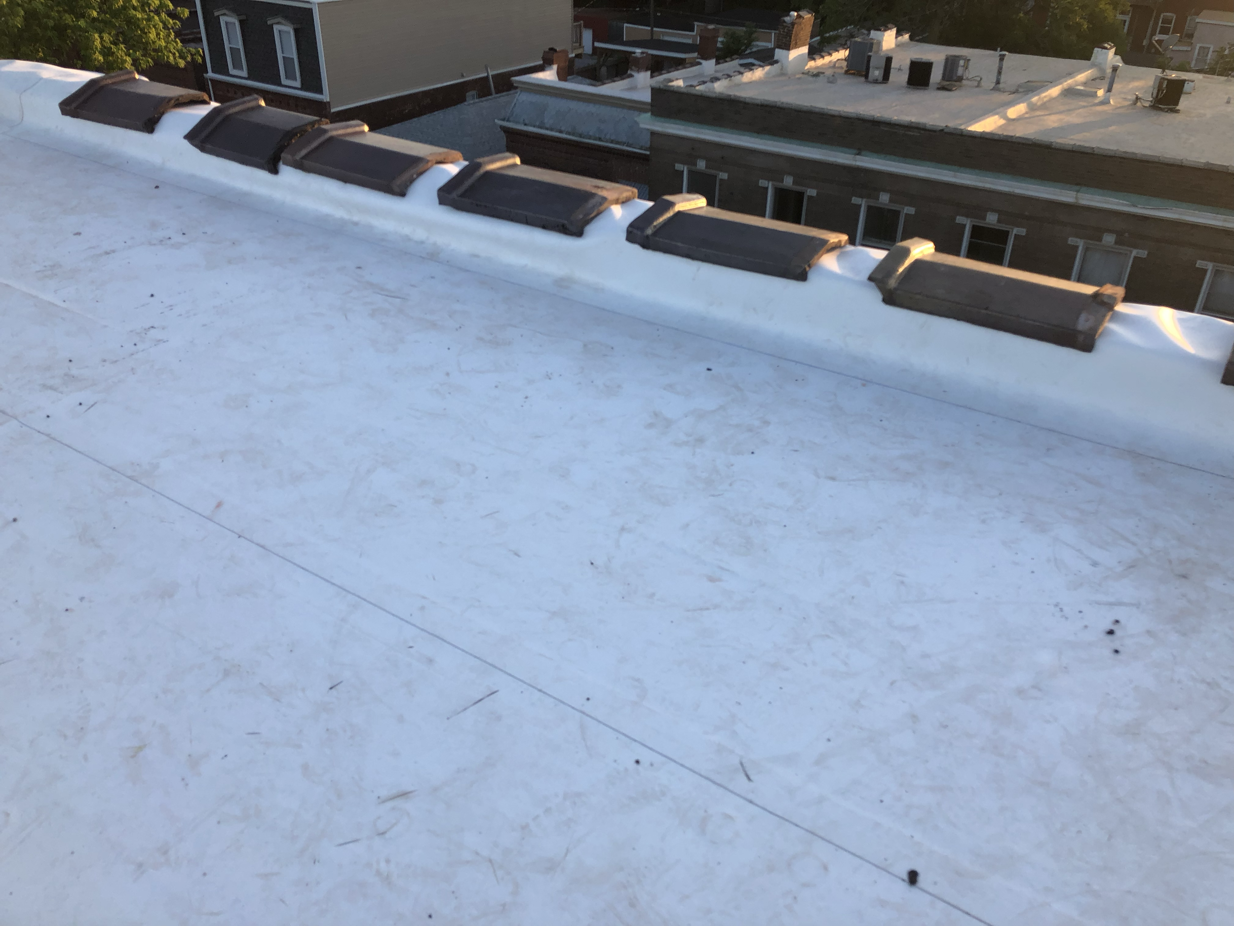 White Replacement Flat Roof