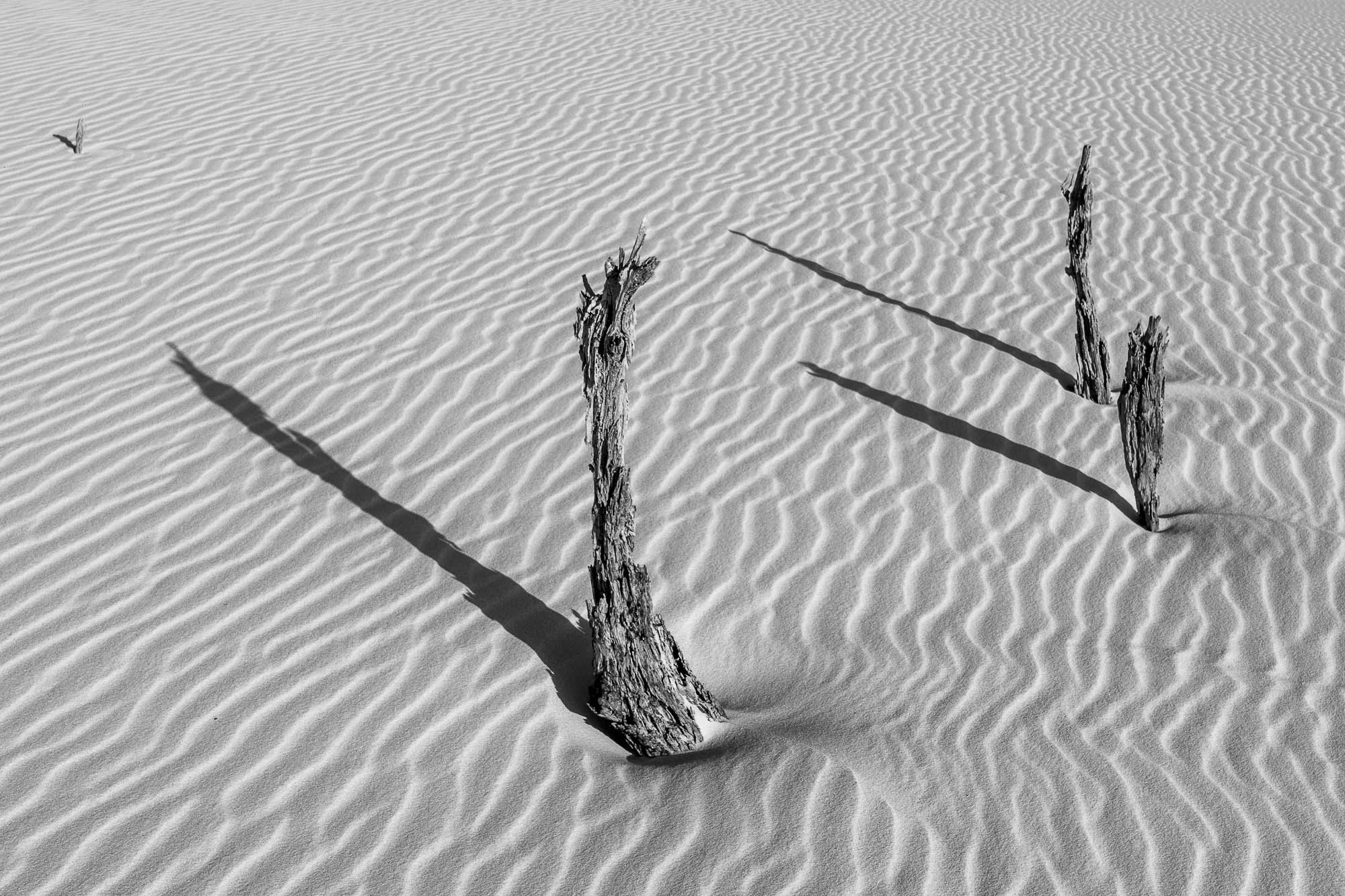 paisagem urbana-004.jpg