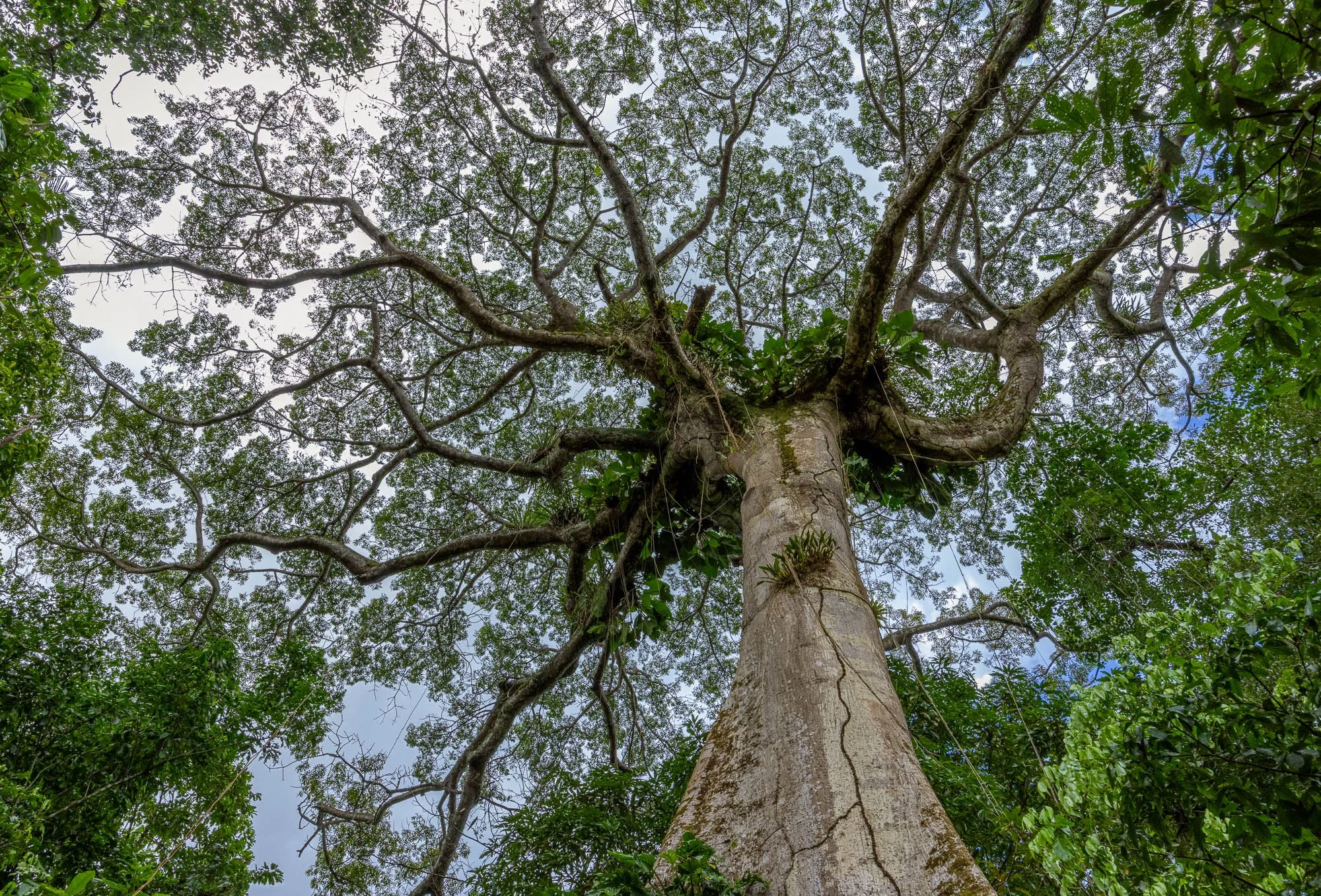 paisagem urbana-001-2.jpg