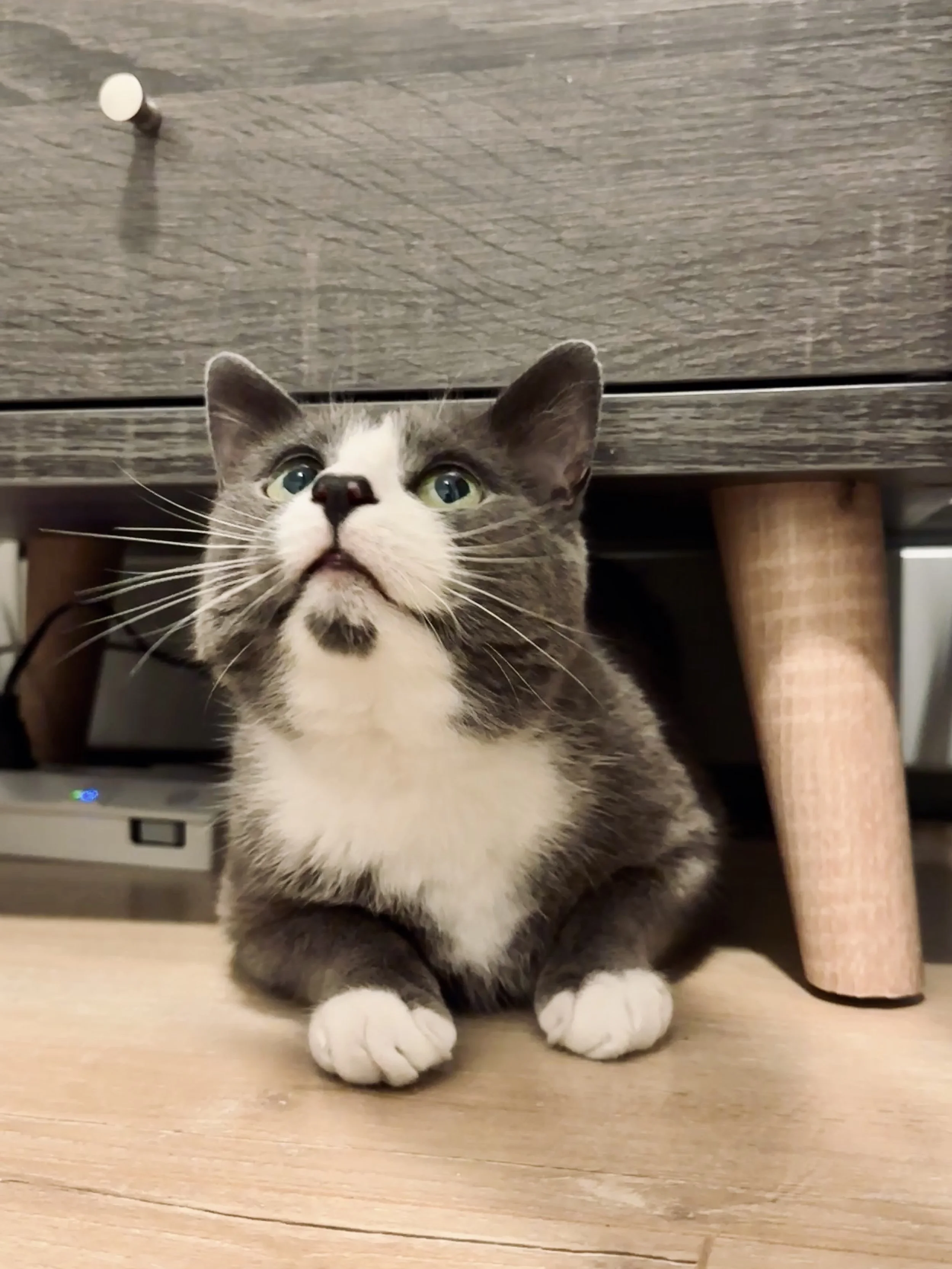 IMG_4810 - Copy.JPEG