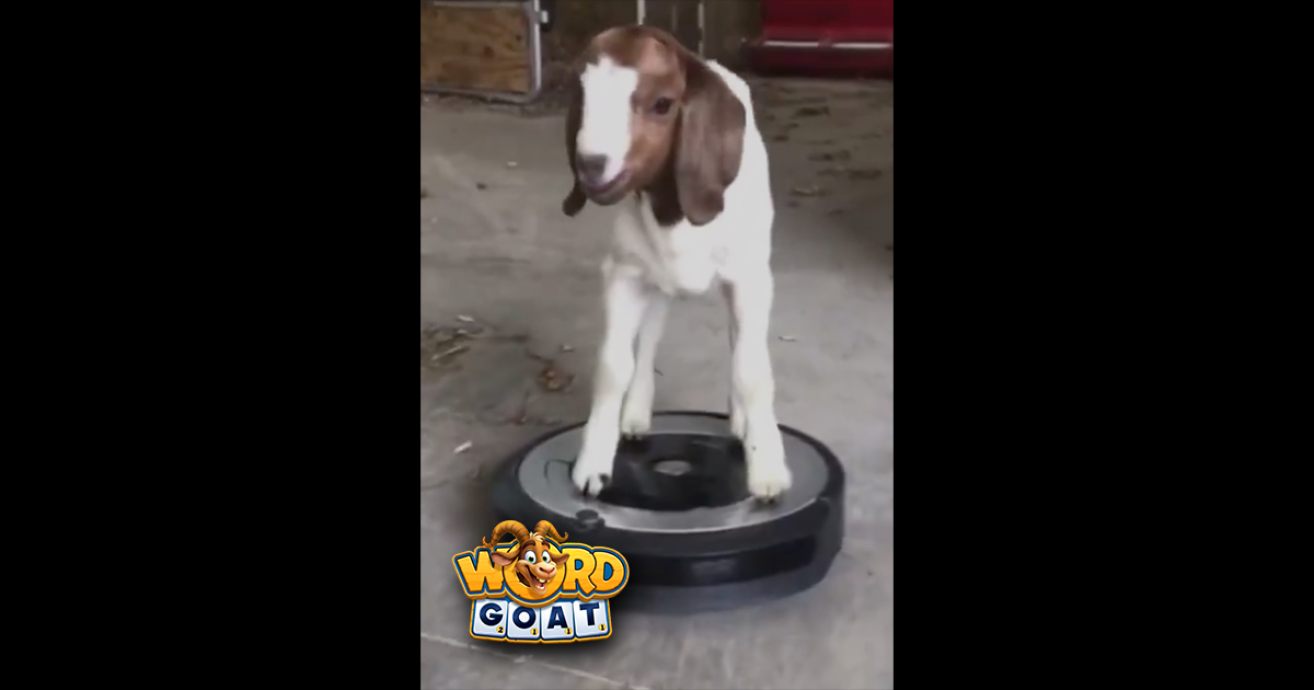 A Joyride in the Barn