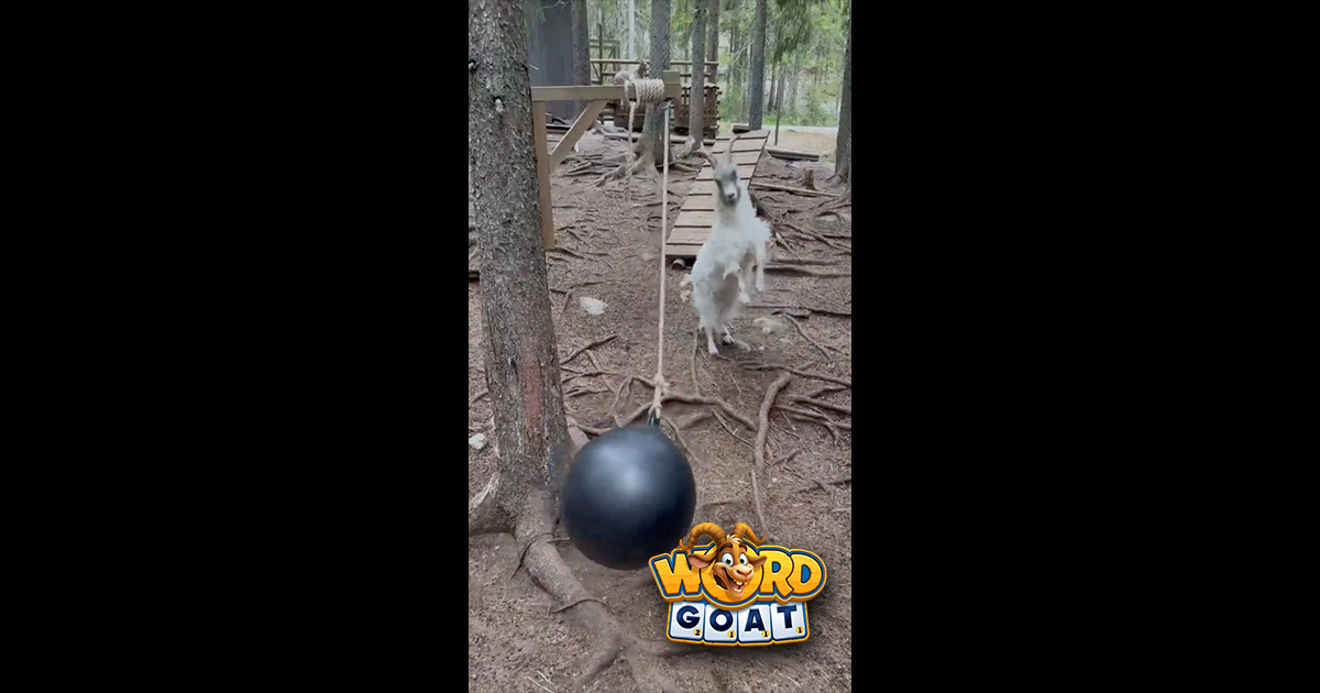 The Kinetic Energy of Play: When Goats Meet Wrecking Balls