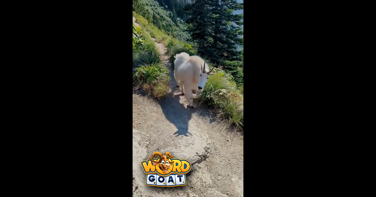 A Surprise Encounter with the King of the Trail