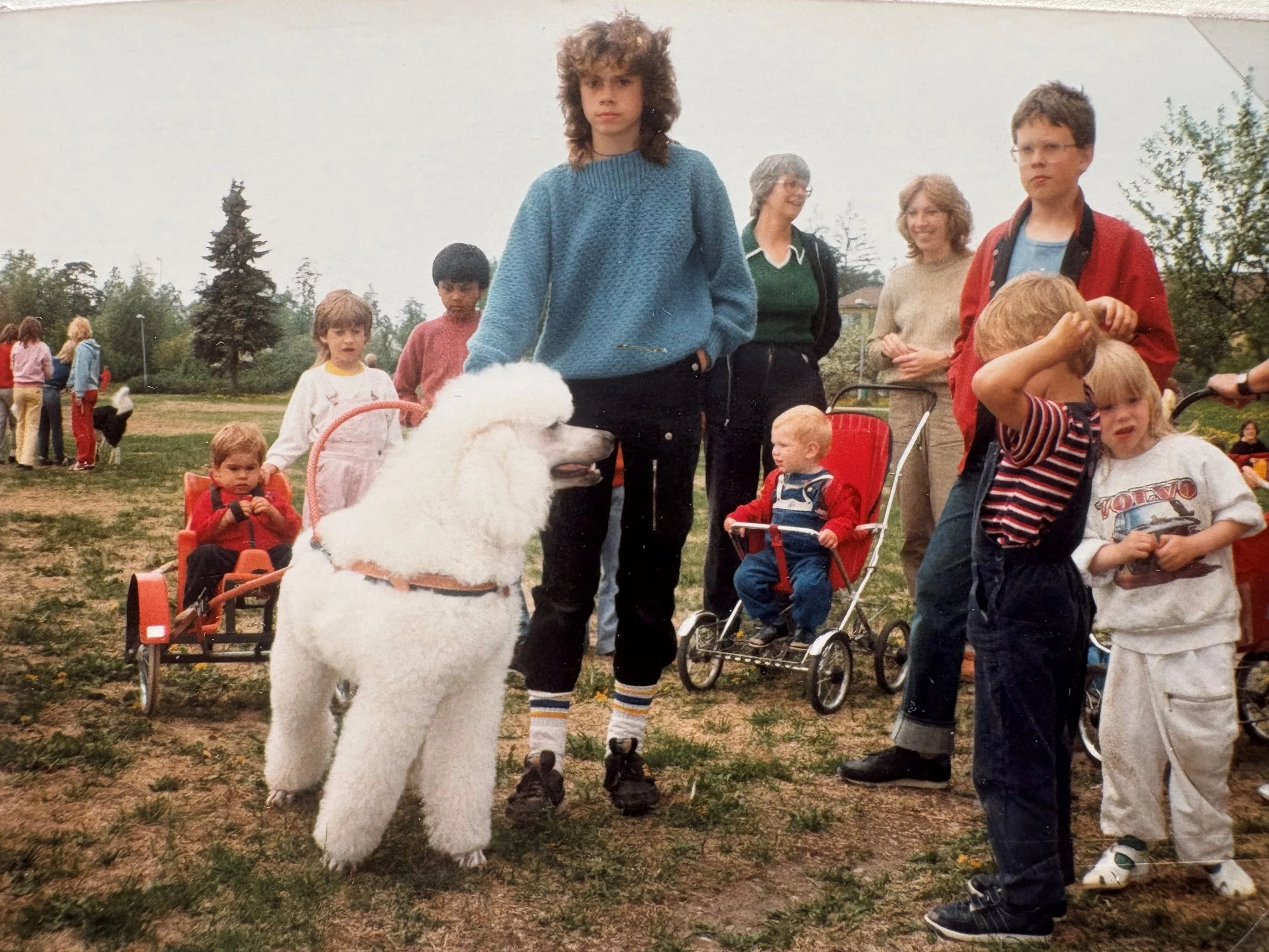 hund.jpg