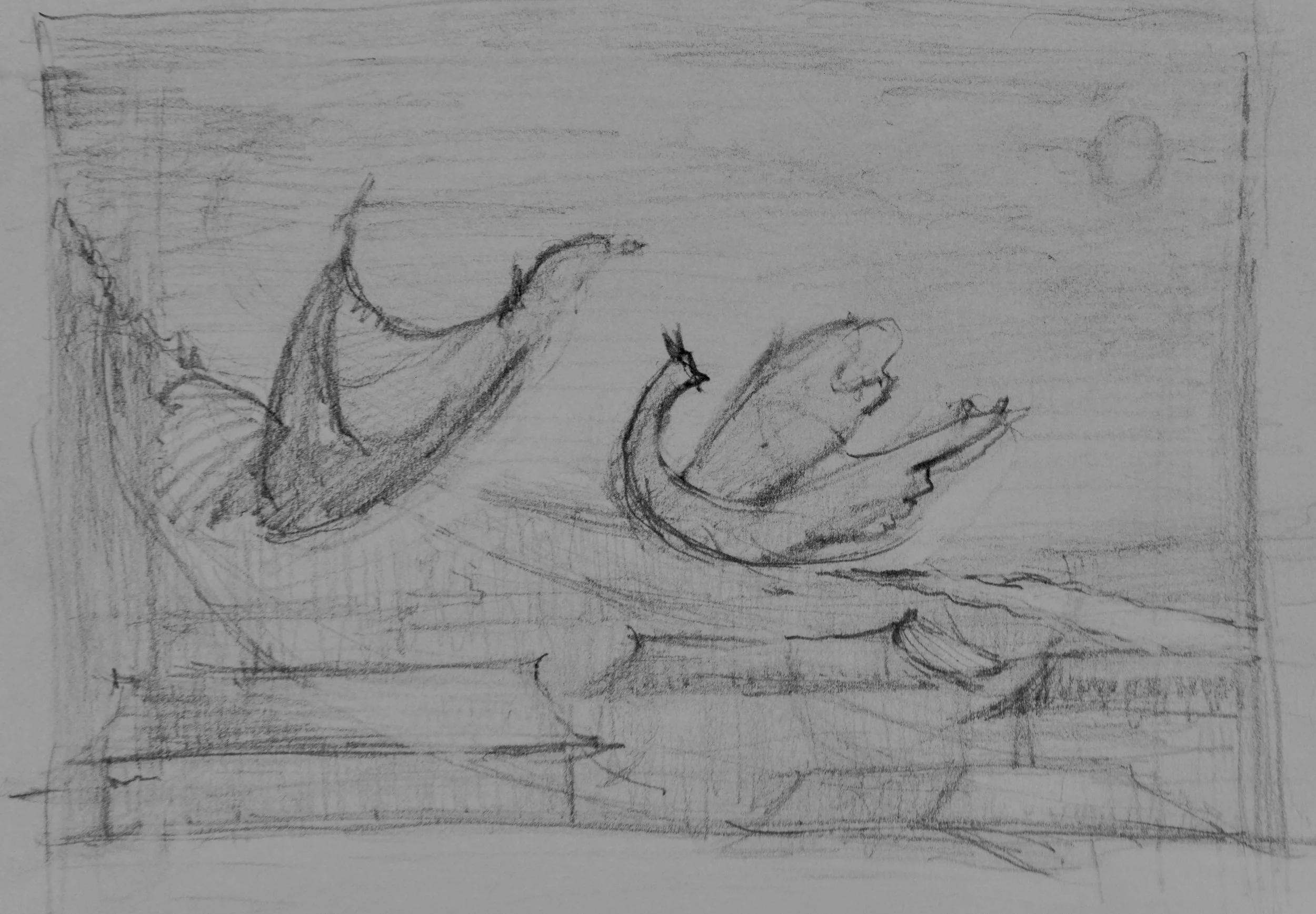 DSC_4224.jpeg