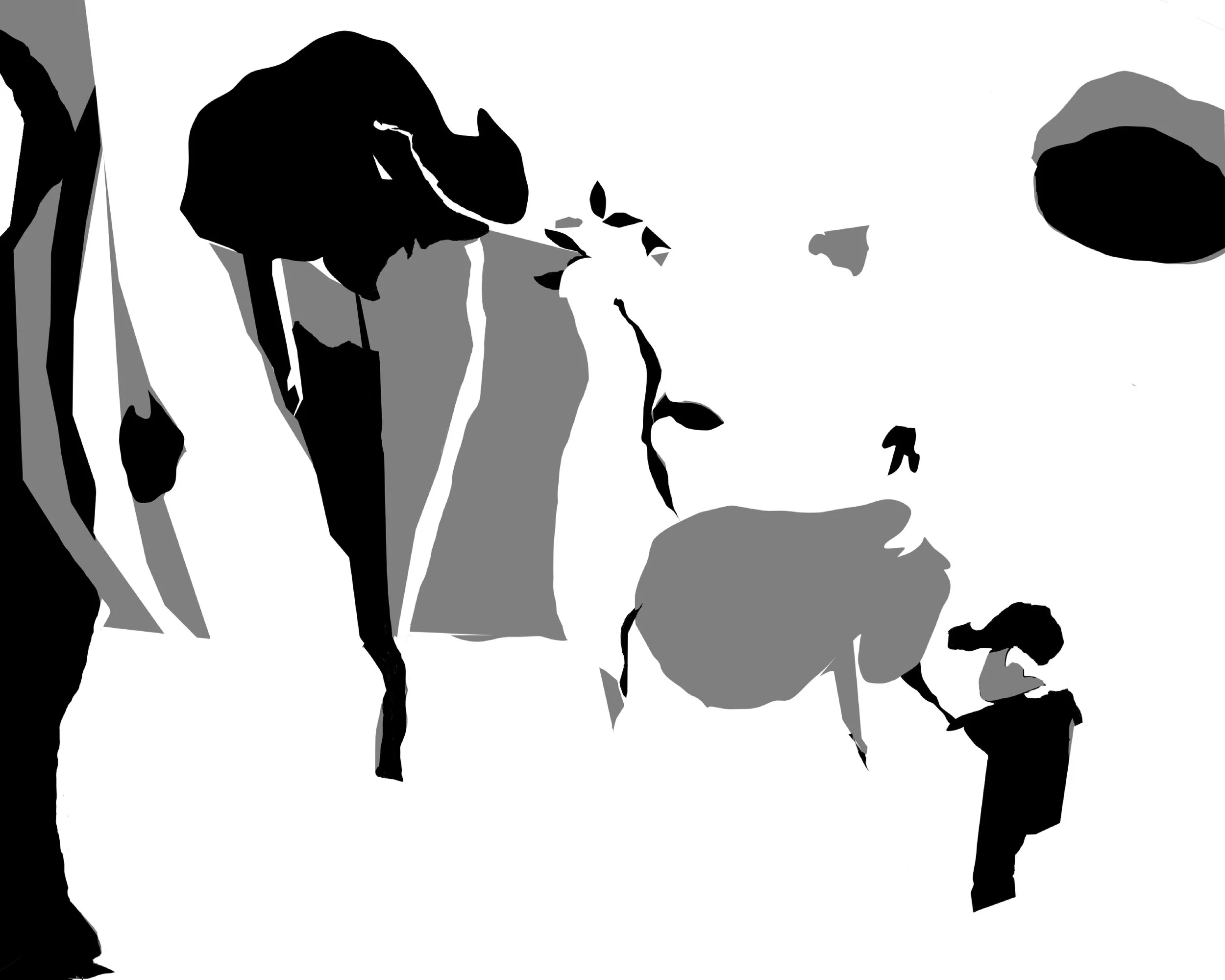 Boy in forest.jpg