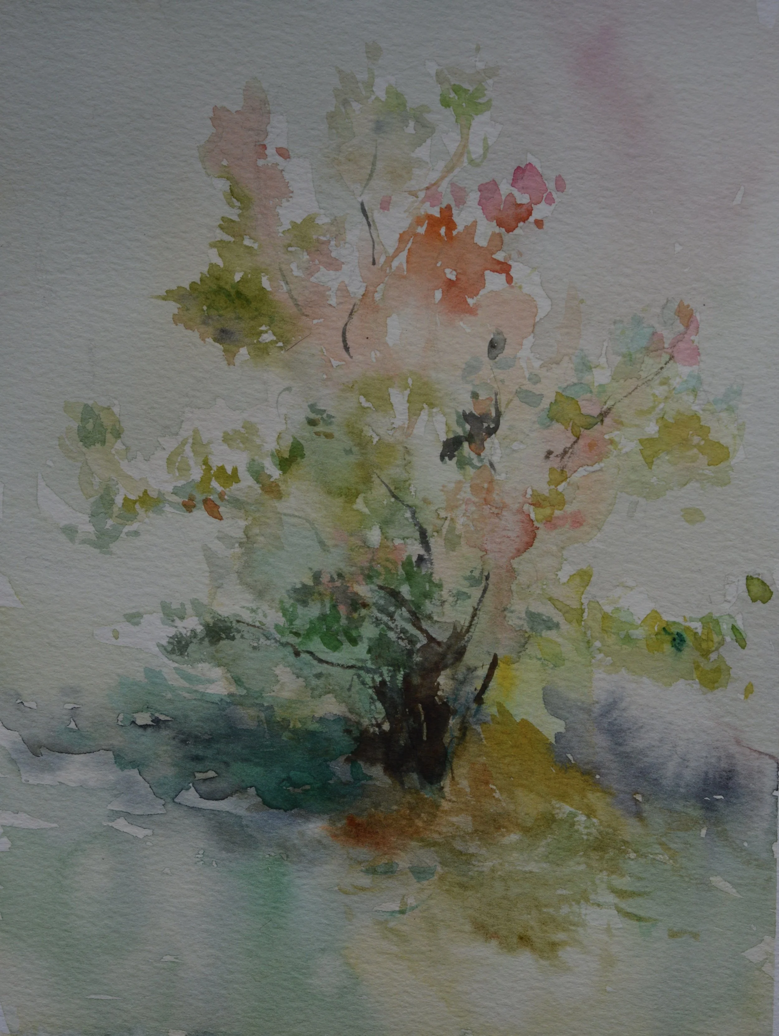 Blueberry patch, 2026
Watercolor, 10 × 7 in
$300