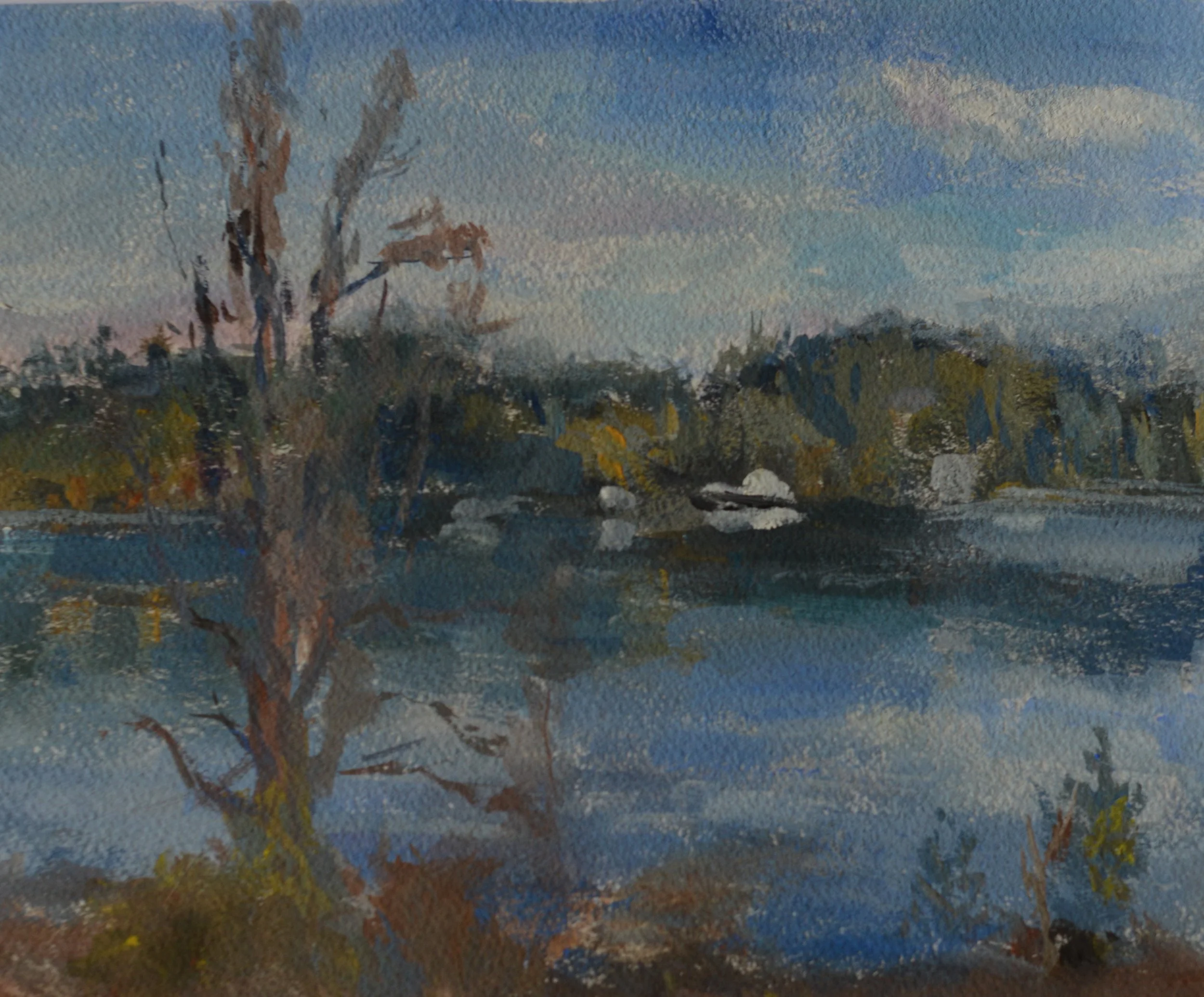 Winter morning, Luther Burbank Park, 2025
Casein on paper, 7.75 x 9.75 in
$350