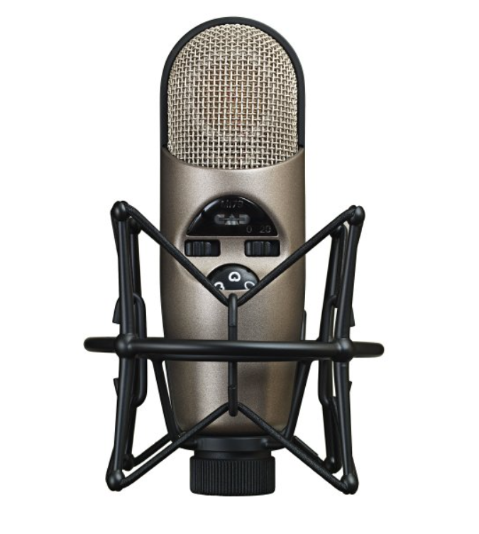 CAD Audio M179 Large Diaphragm Condenser Microphone