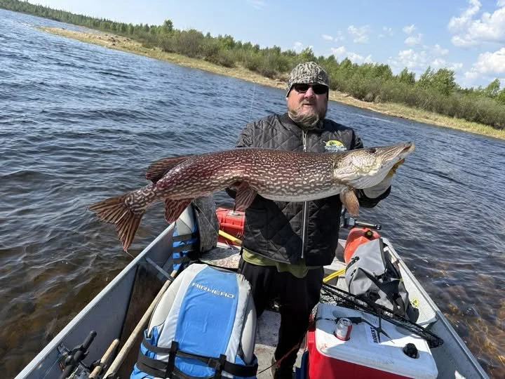 reindeer lake lodge best fishing, cozy cabins on reindeer lake lodge, best lodge on reindeer lake is reindeer lake lodge, best fish camp on reindeer lake is reindeer lake lodge, best fishing on reindeer lake is reindeer lake lodge, amazing fishing