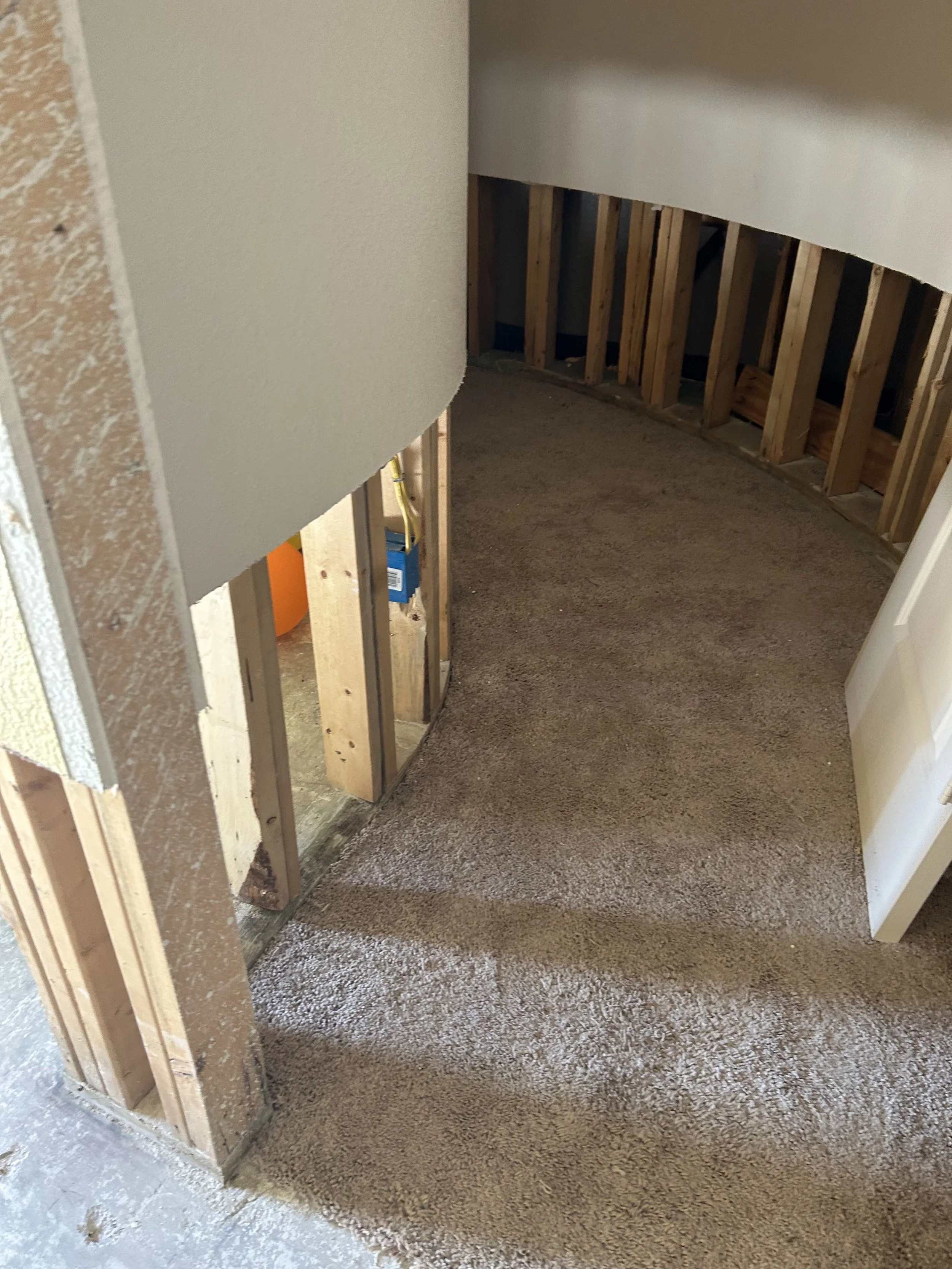 Partially constructed interior wall with exposed wooden studs and carpeted floor.
