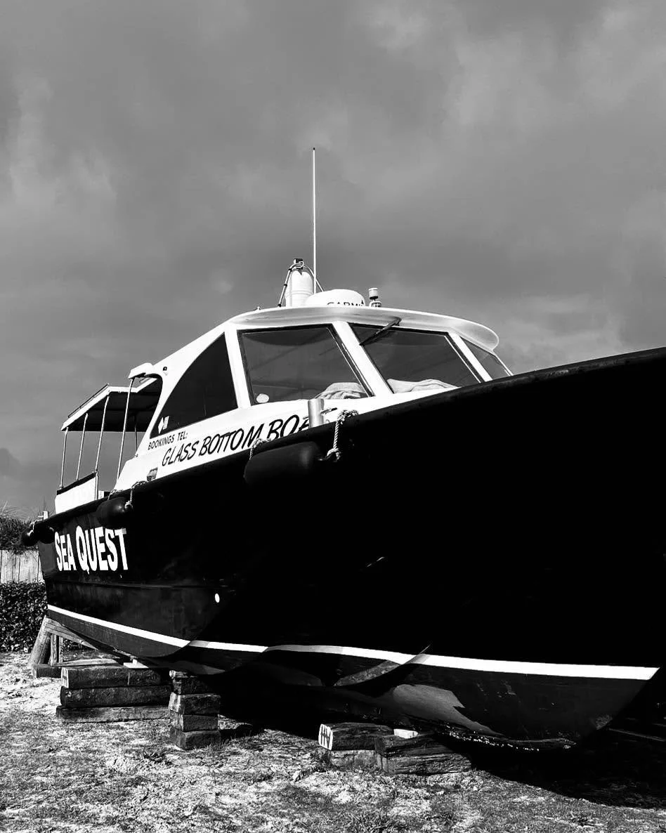 Out of the water and on dry land #wildlifeconservation #boattrip #wildlife #wildlifephotography #islesofscilly #clean