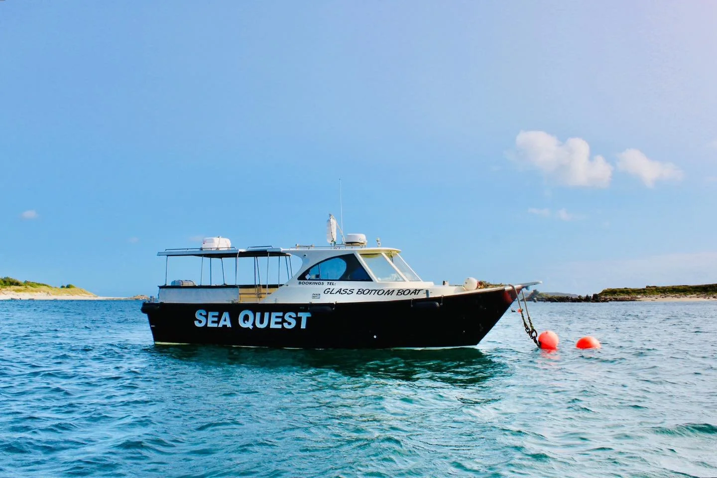 #wildlife #boattrip #newowner #islesofscilly